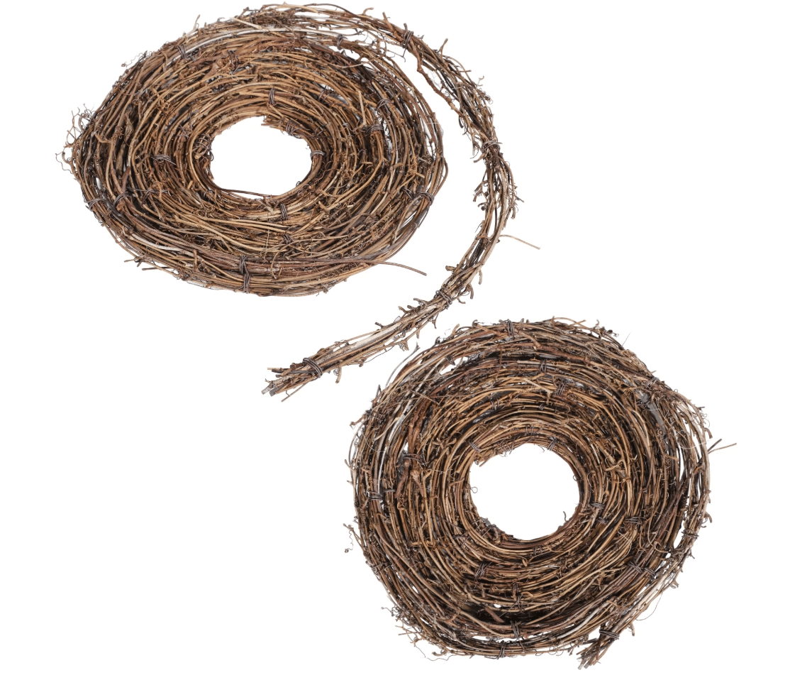 DIY_Crafts_Natural_Grapevine_Twig_Vines