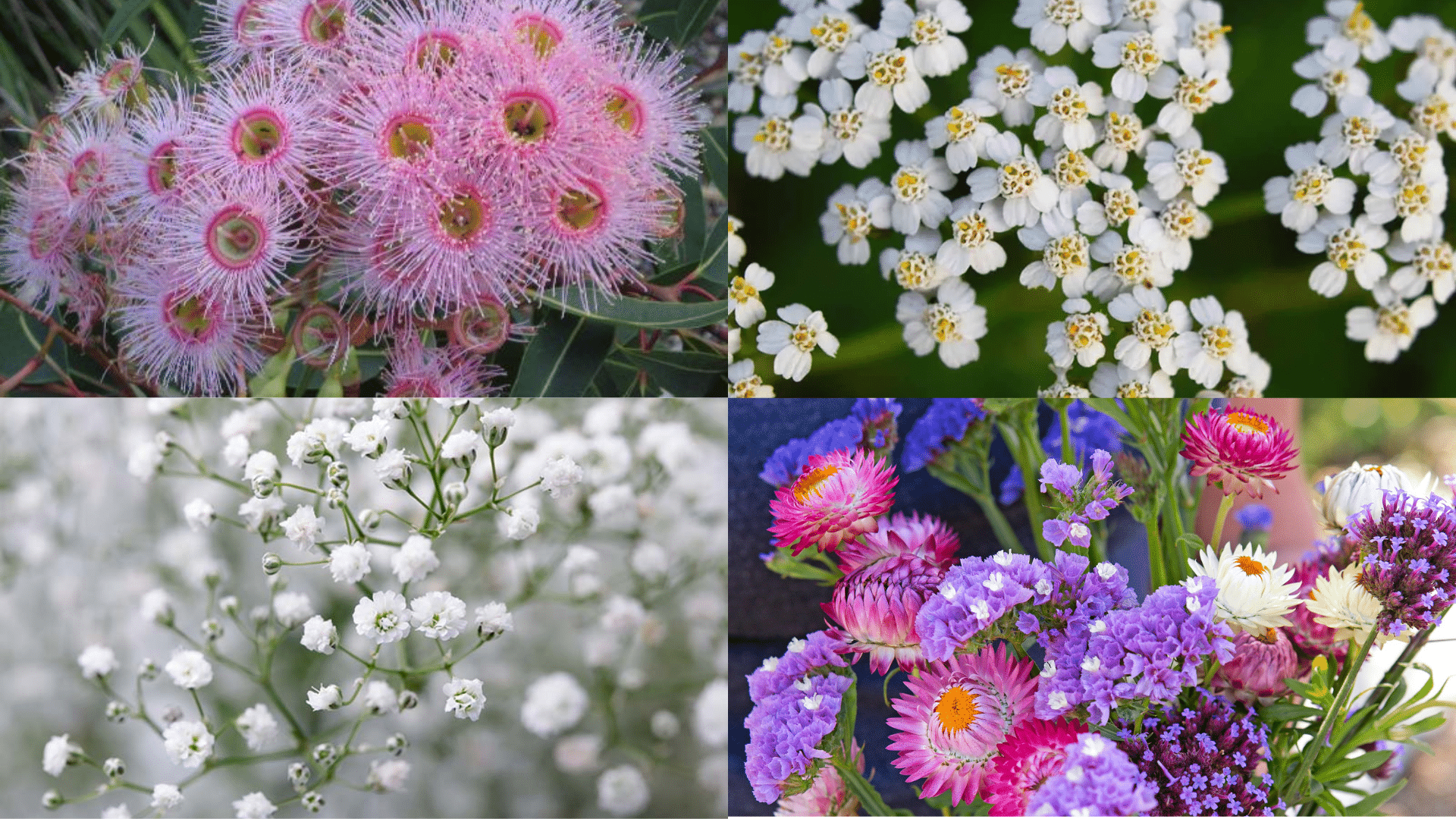 Flowers_that_Work_Best_for_Dried_Flower_Pumpkins