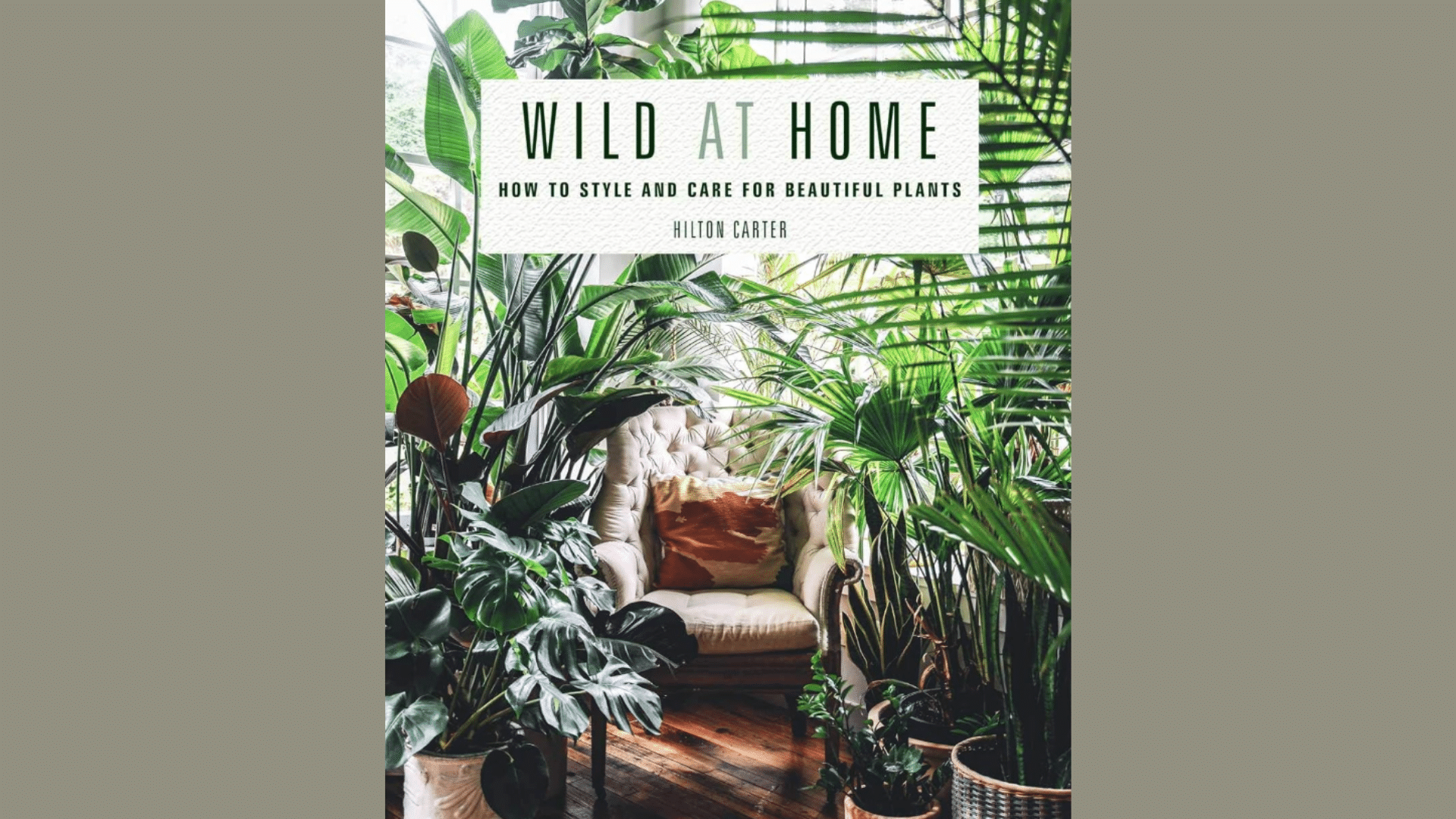 Wild_at_Home_by_Hilton_Carter