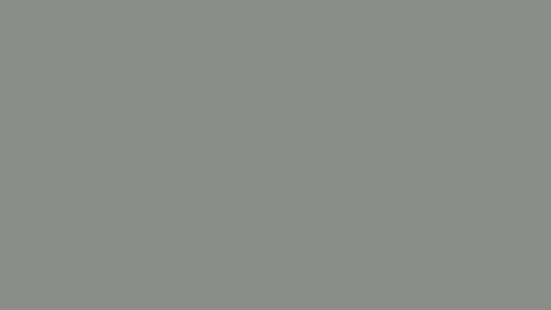 8B8C89