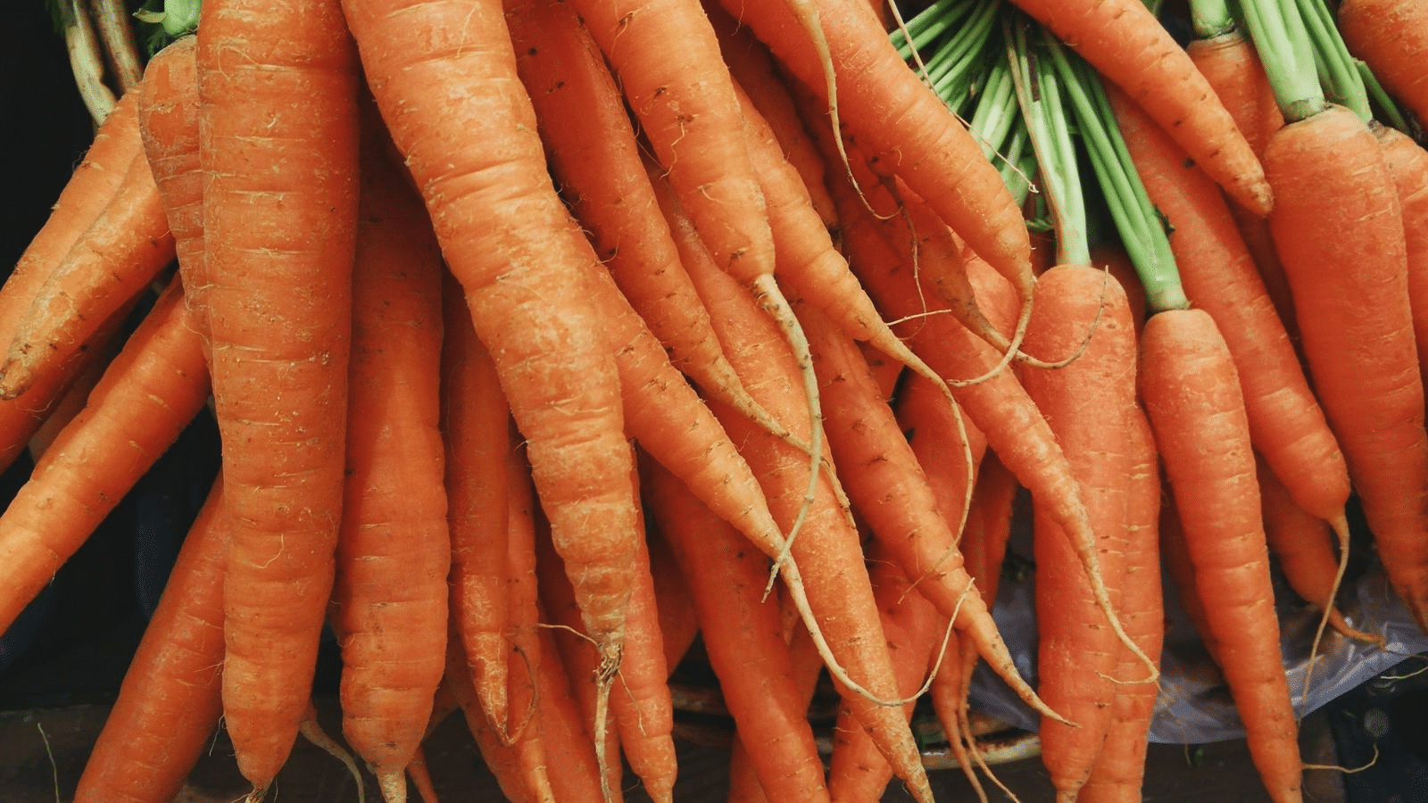 Carrots