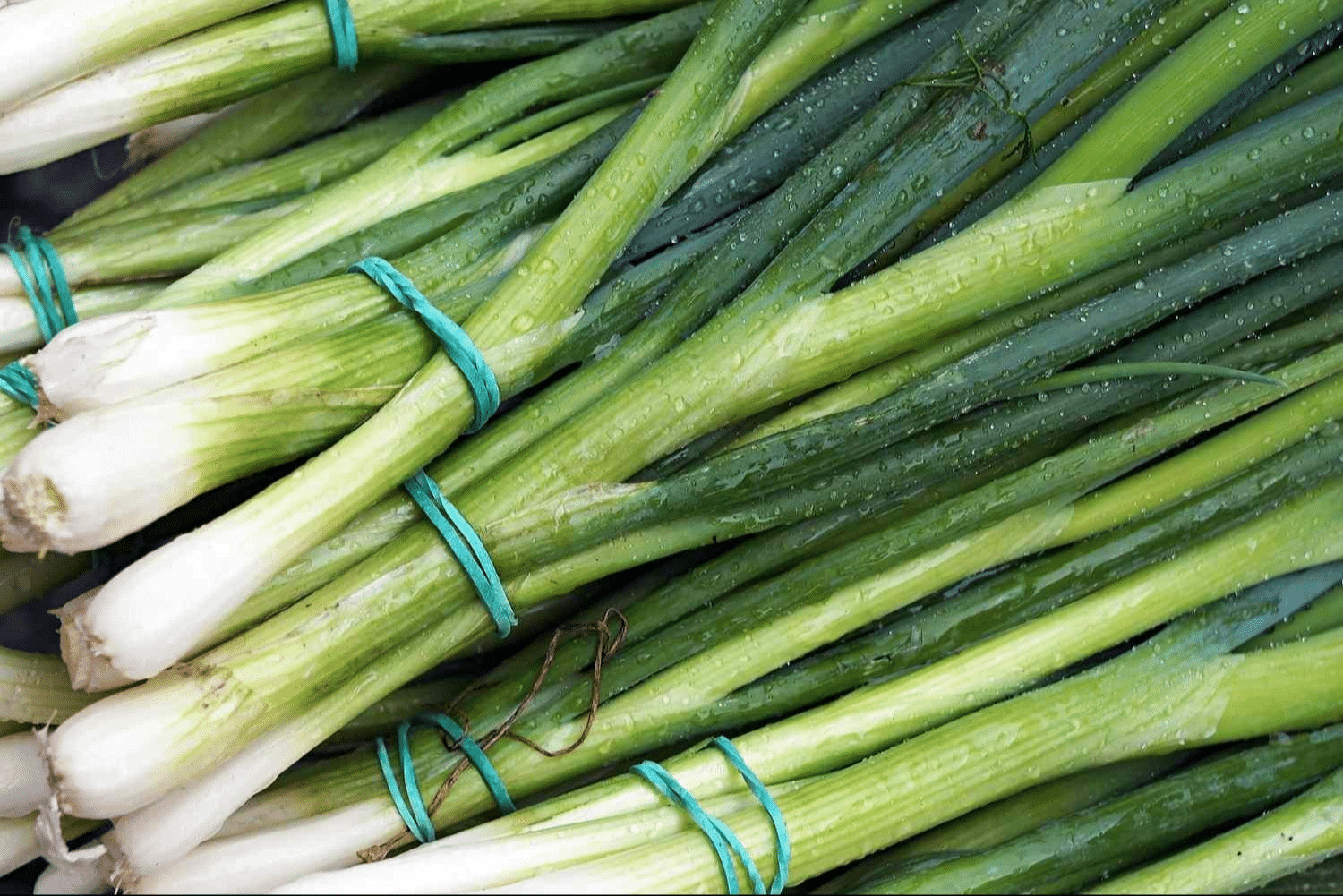 Green_Onions