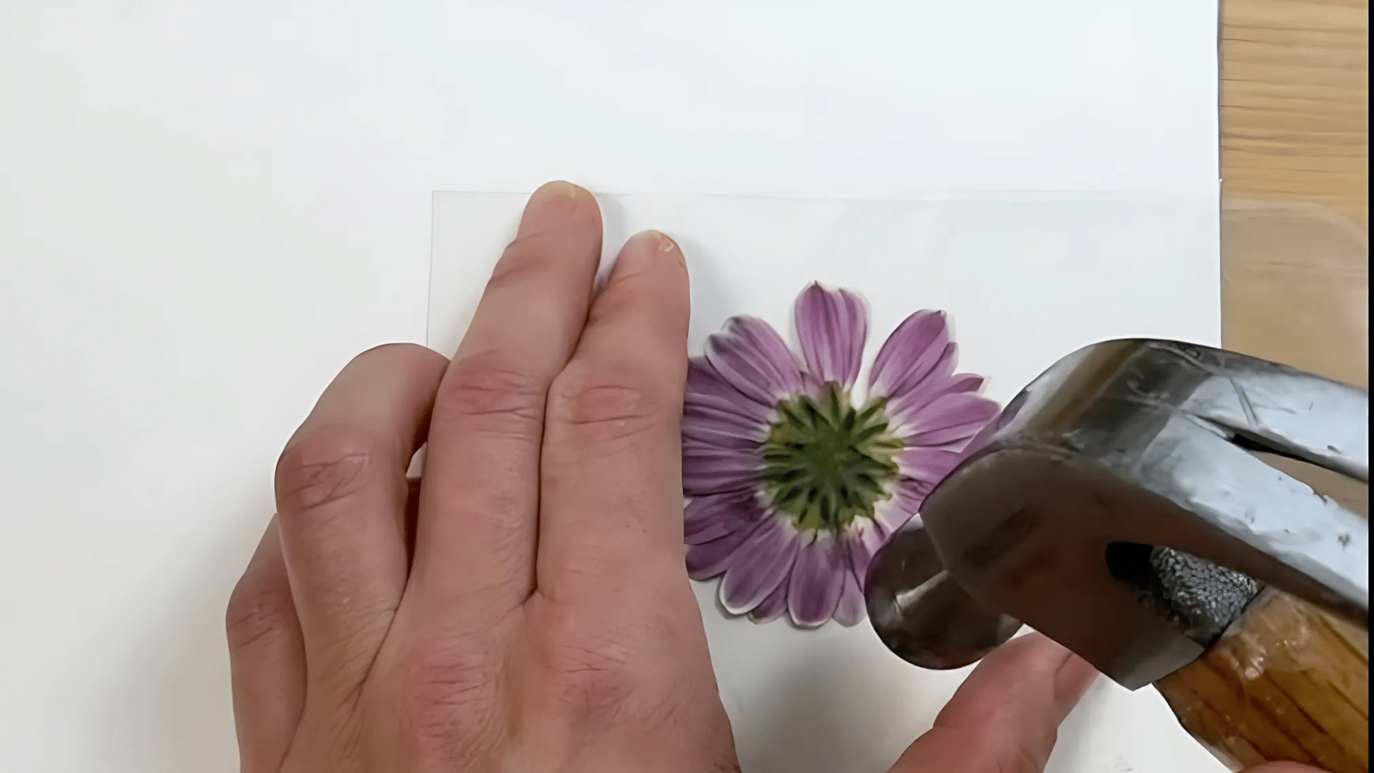Hammer the Flower Carefully