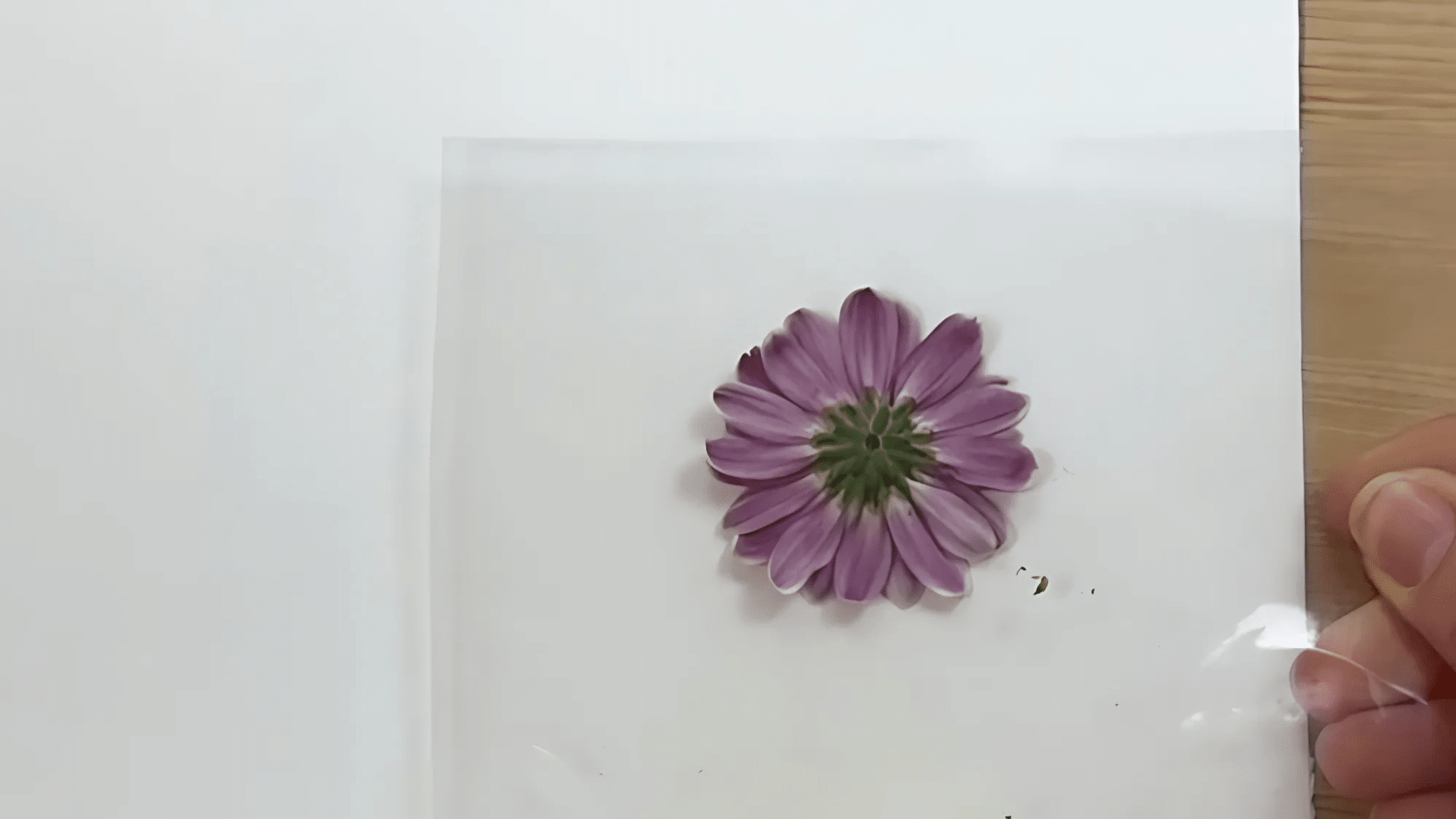 Position and Secure the Flower