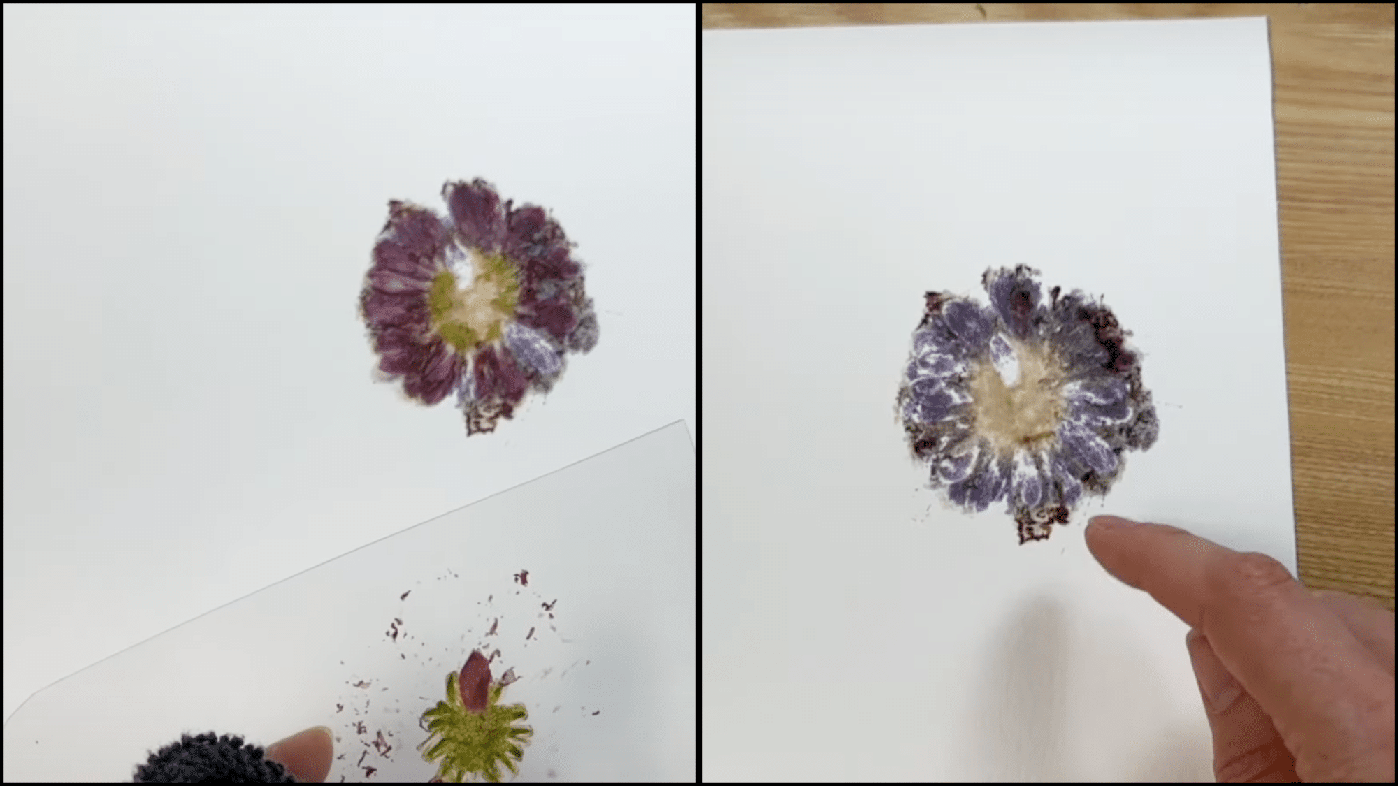 Remove and Clean the Flower Remnants