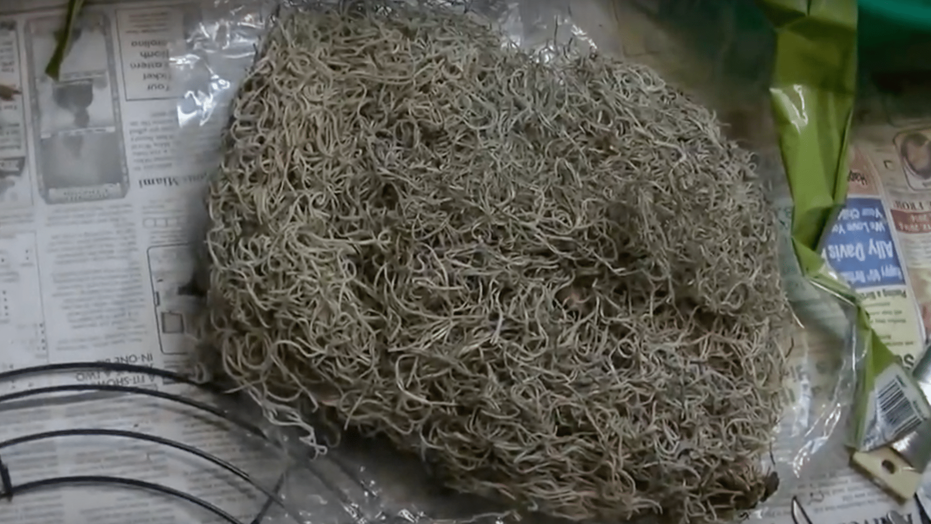 Step 3: Cover the Frame with Spanish Moss