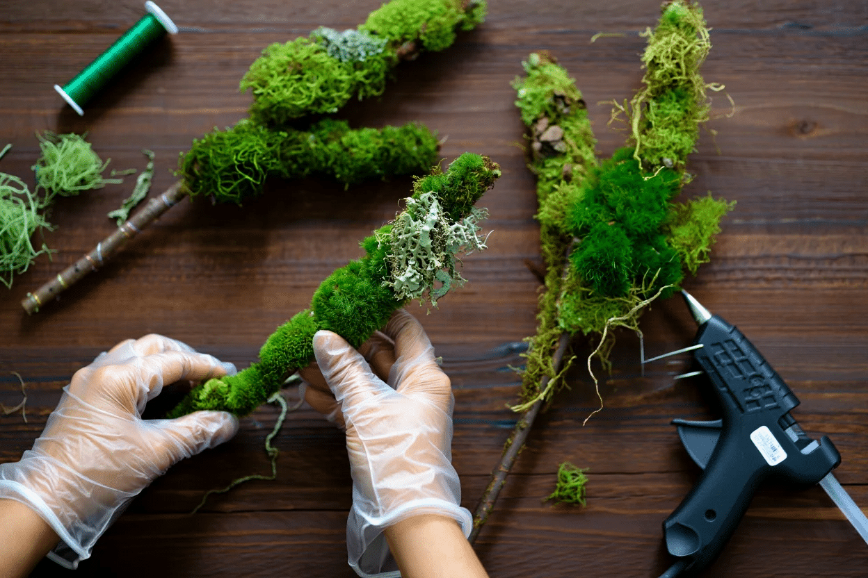 Framing_the_Moss_and_Lichen