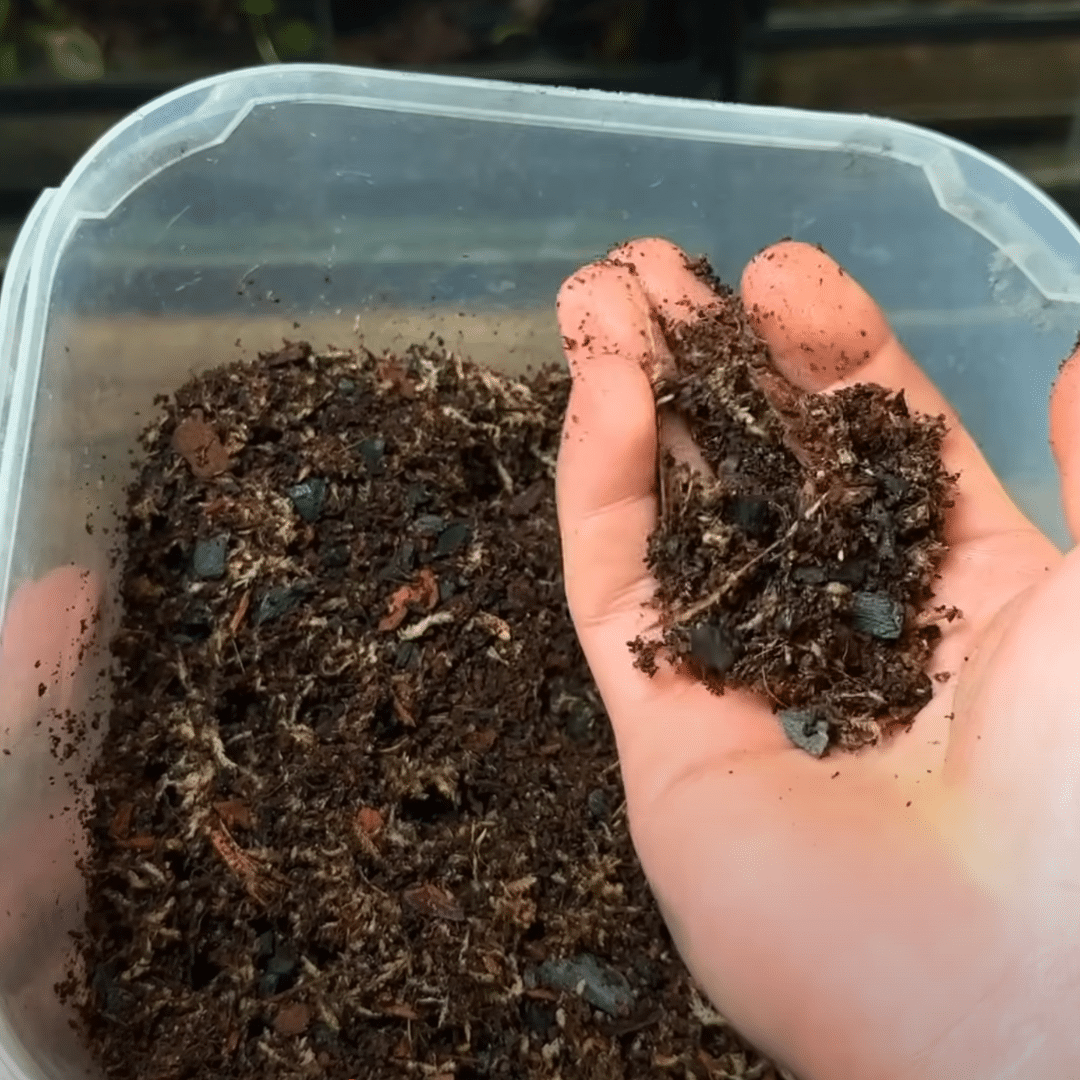Step_4_Mix_and_Add_the_Substrate