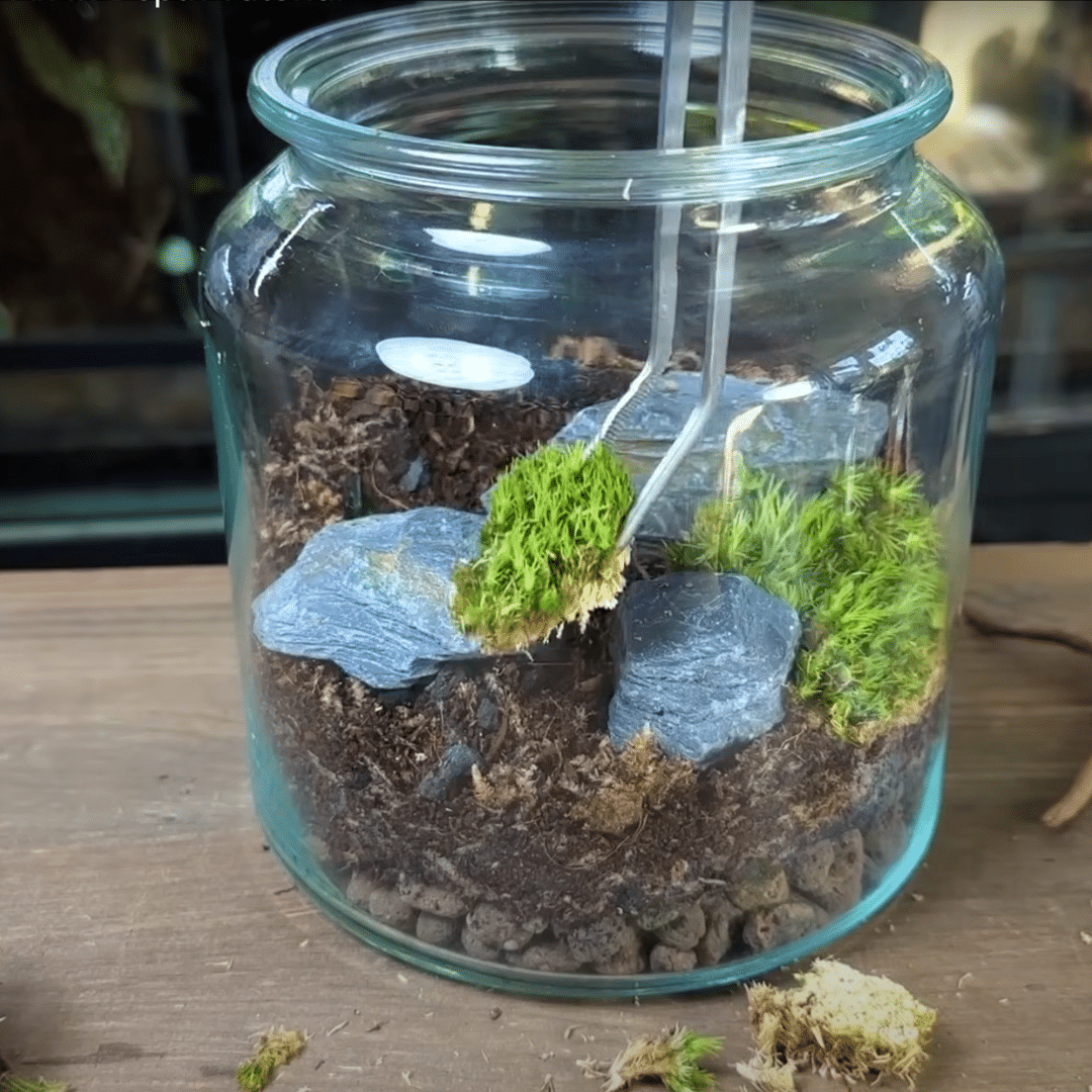 Step_5_Design_the_Hardscape_and_Add_Moss