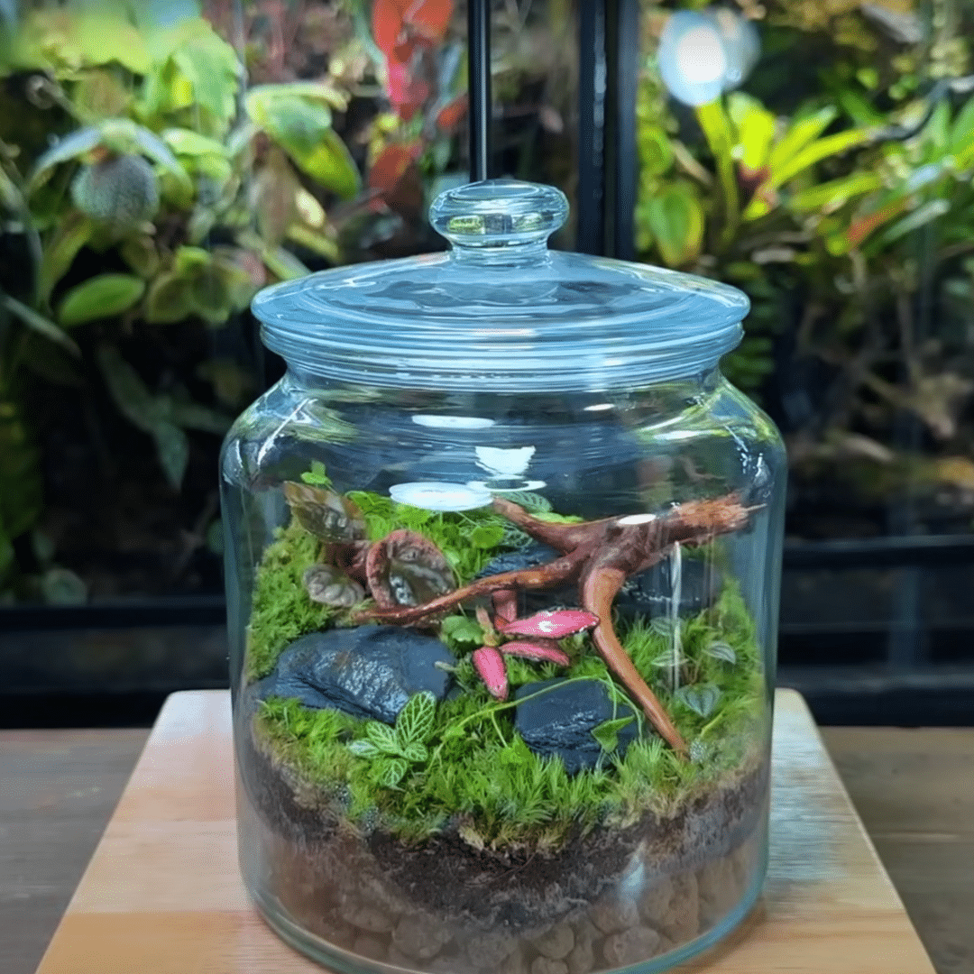 Step_6_Add_Plants_Microfauna__Final_Touches