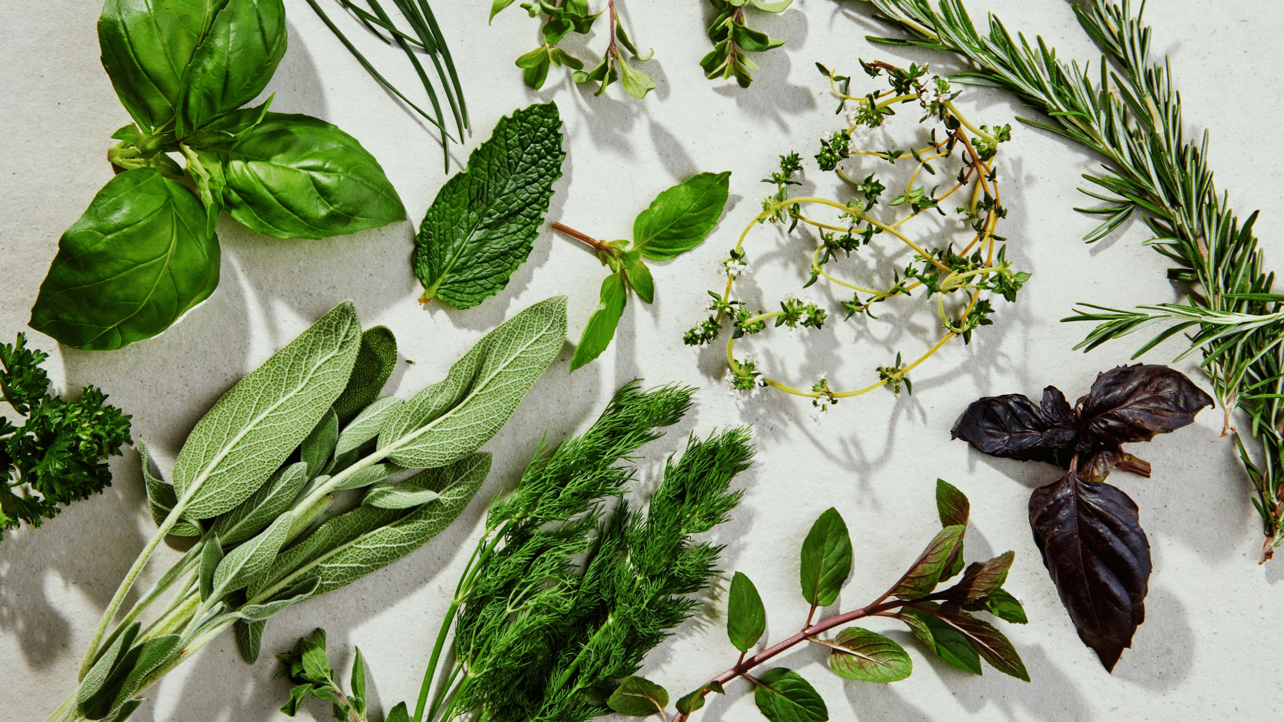 Tasty Ways to Use Edible Herbs in Cooking