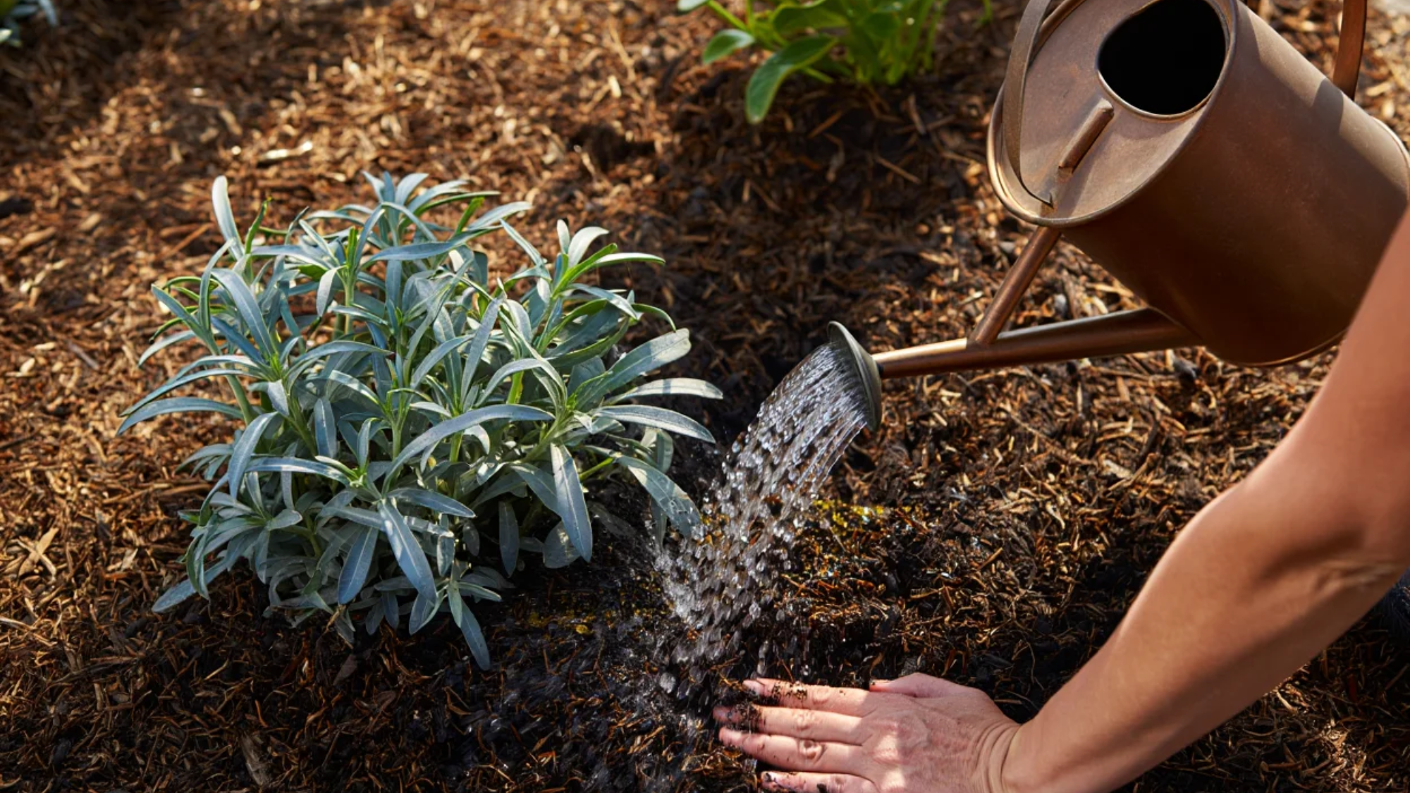 Soil_and_Water_Basics
