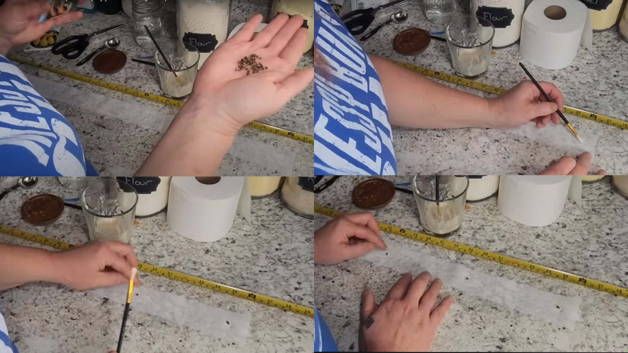 Step_4_Dab_the_Glue_Drop_the_Seeds