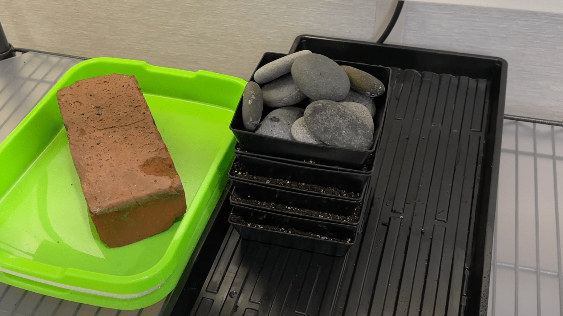 Create a Dark Germination Environment