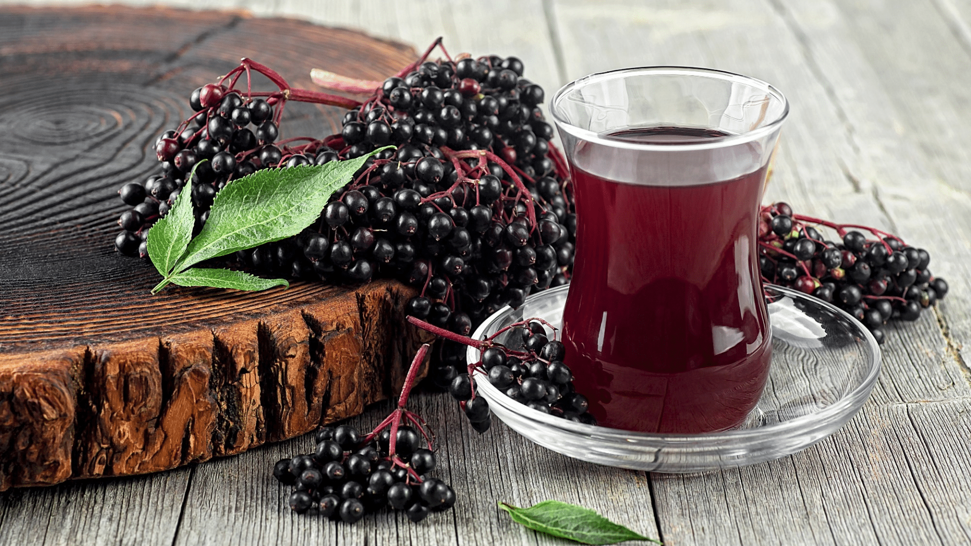 Creating Concentrated Elderberry Syrup