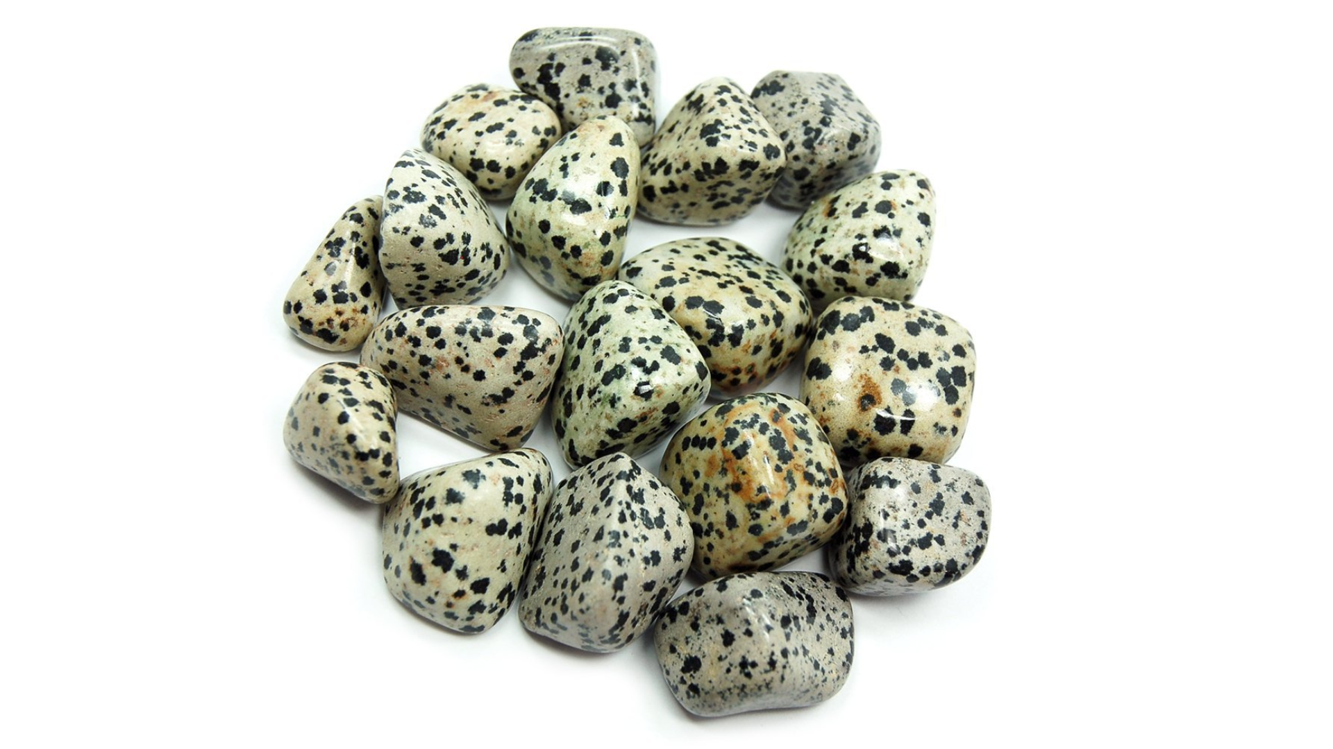 Dalmatian Jasper