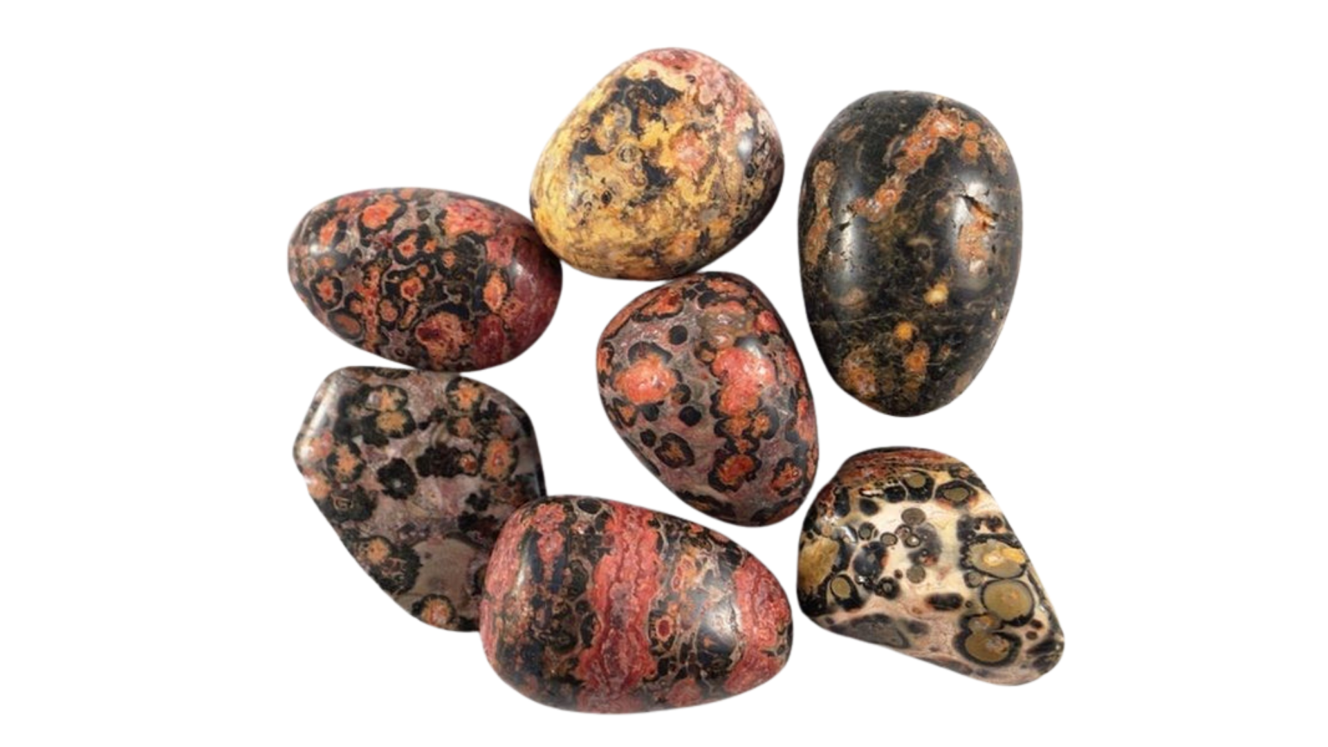 Leopard Skin Jasper