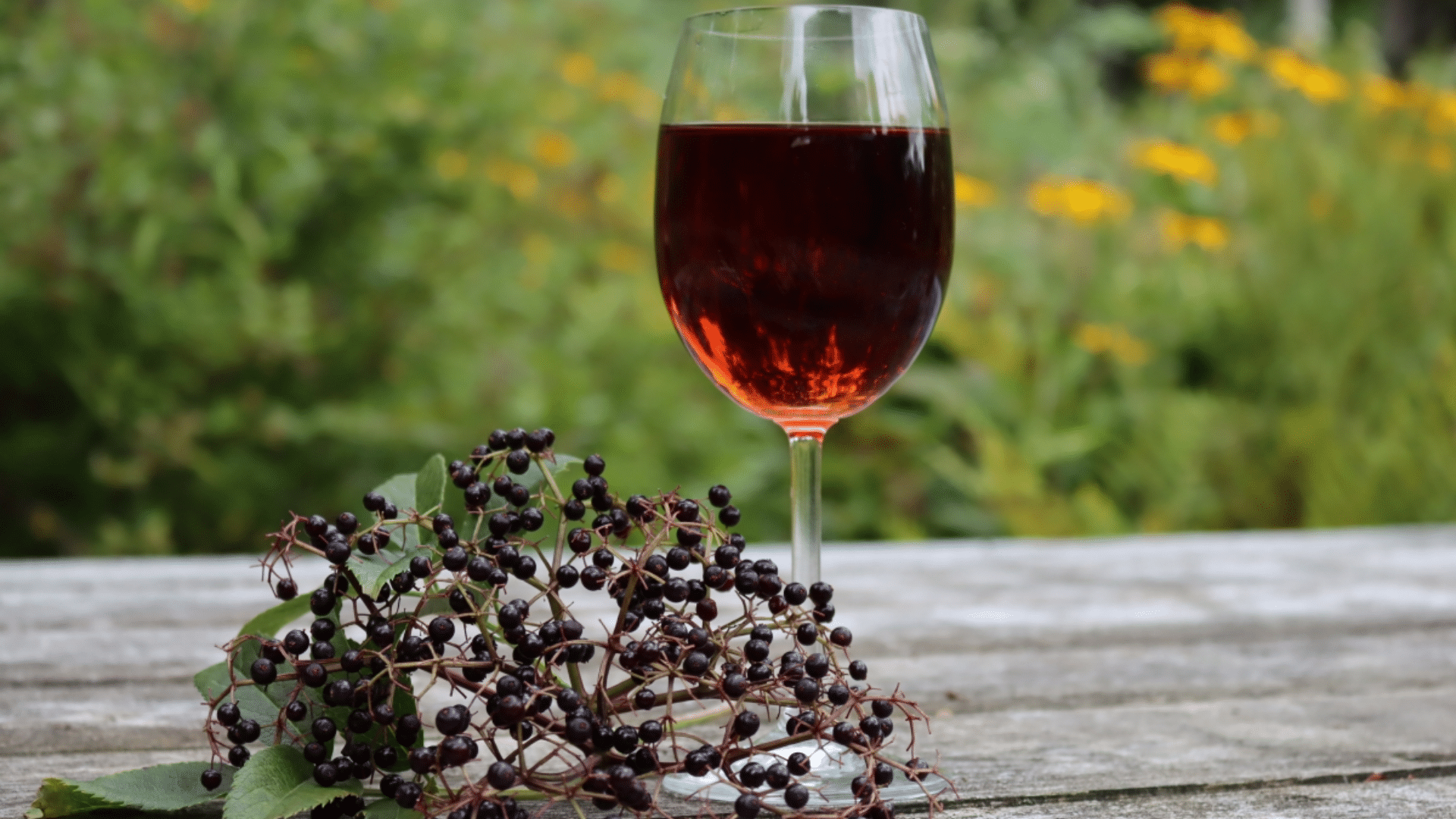 Making Elderberry Wine or Vinegar