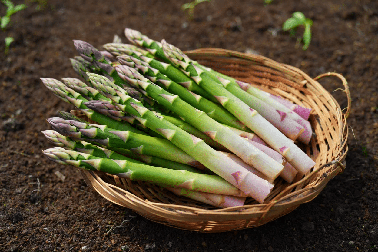 Step 3- Frequency and Duration of the Harvest Period