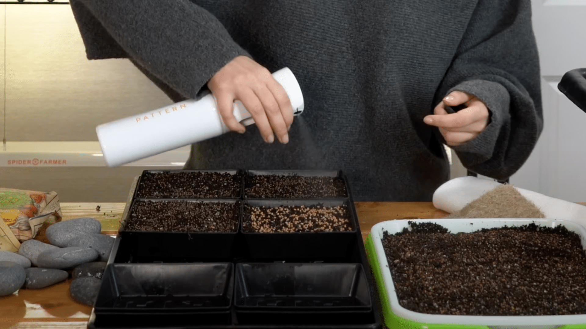 Water the Seeds