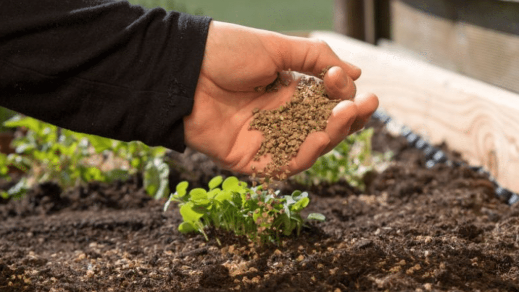 10-10-10 Fertilizer Explained- Uses, Timing, and Myths