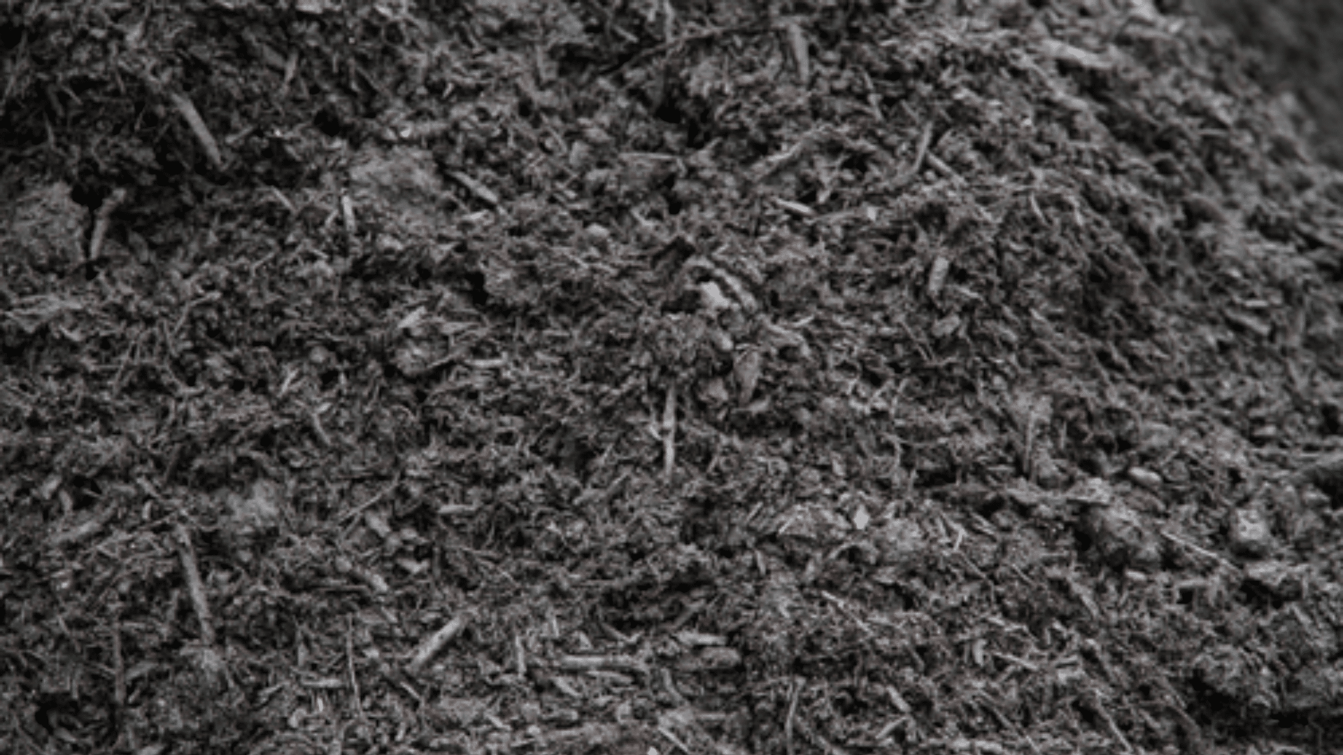 Compost