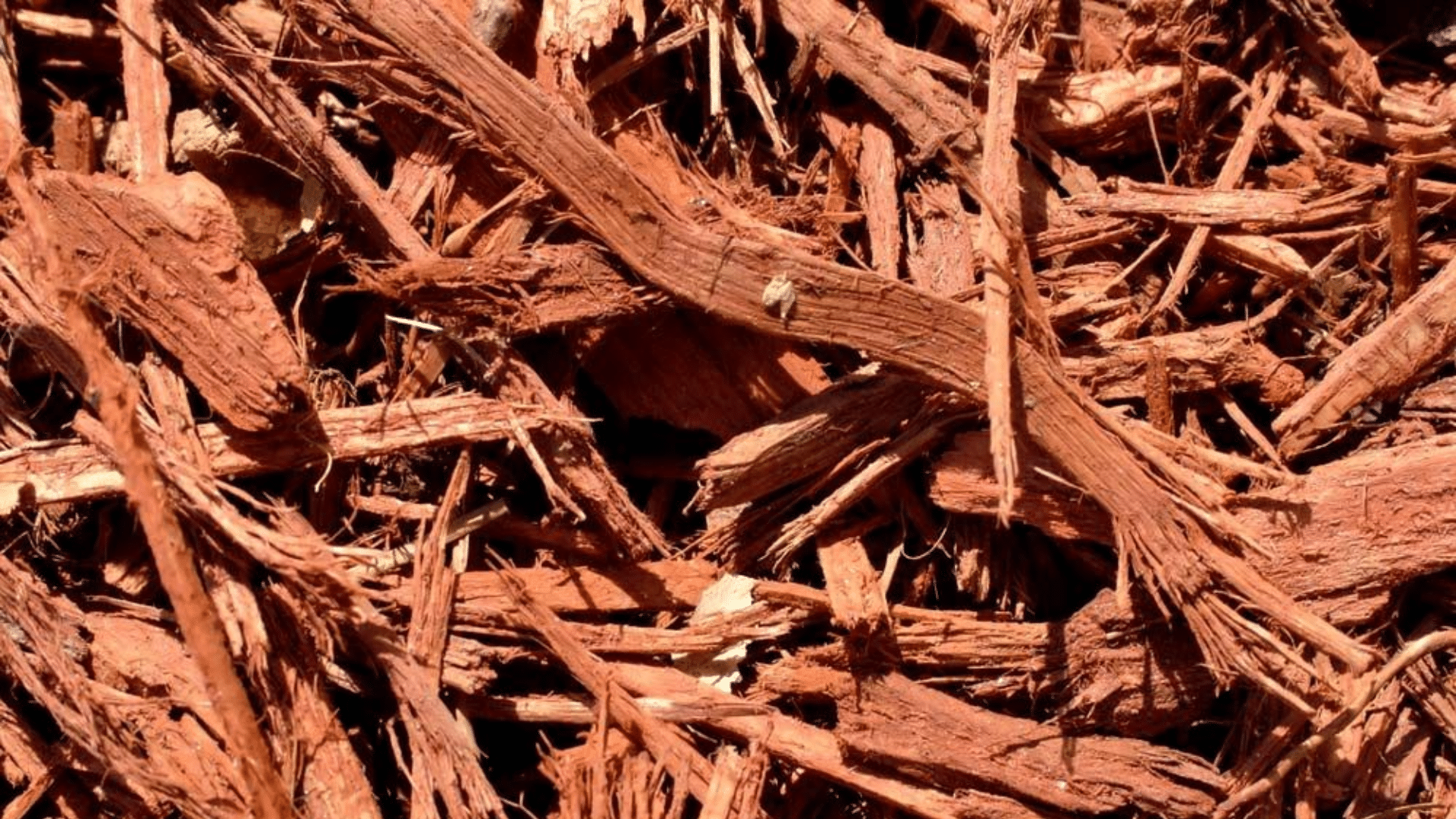 Cypress mulch