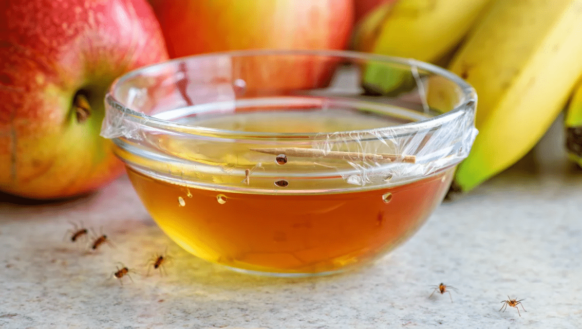 apple-cider-vinegar-soap
