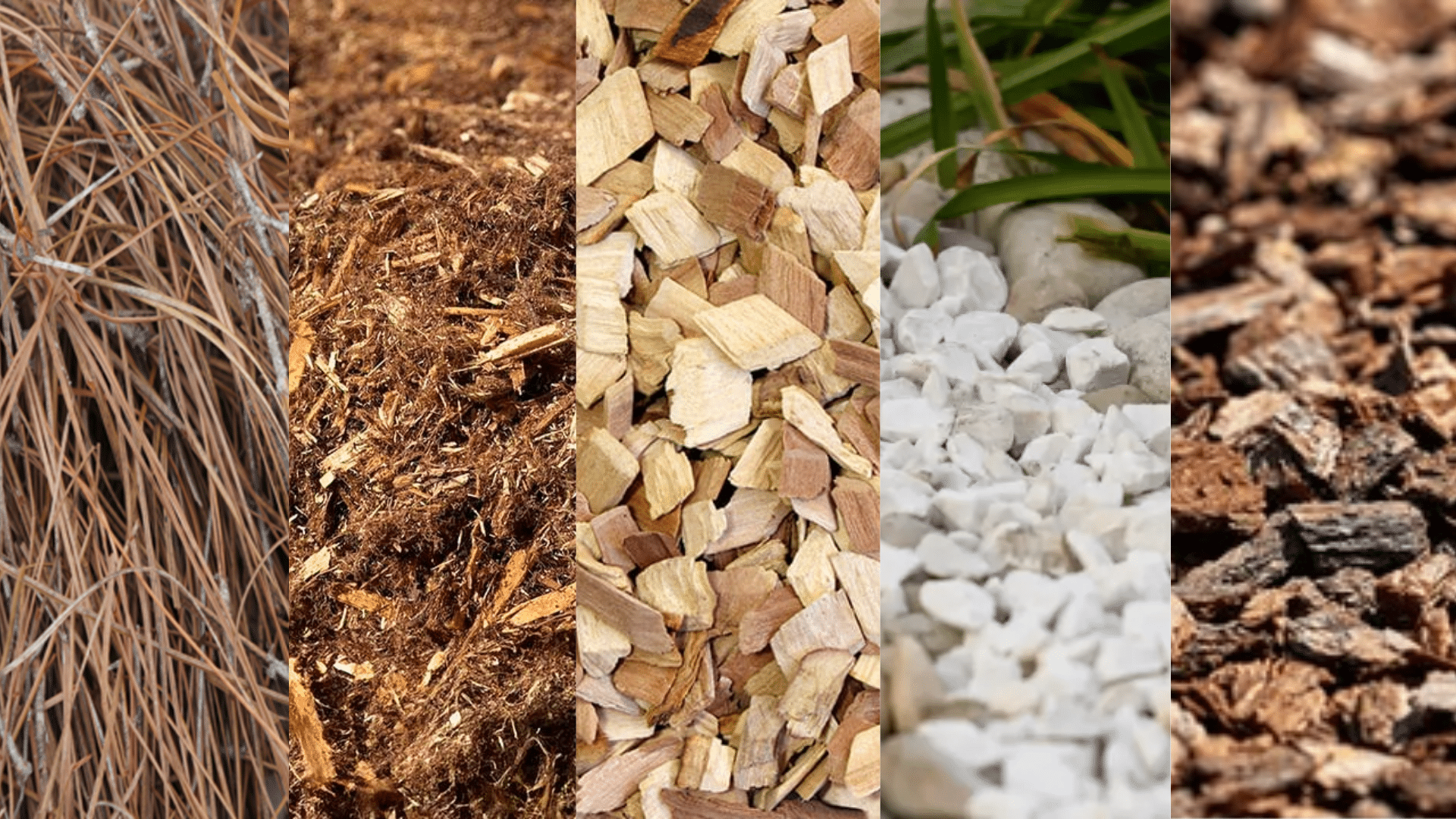comparing-alternatives-for-home-safety