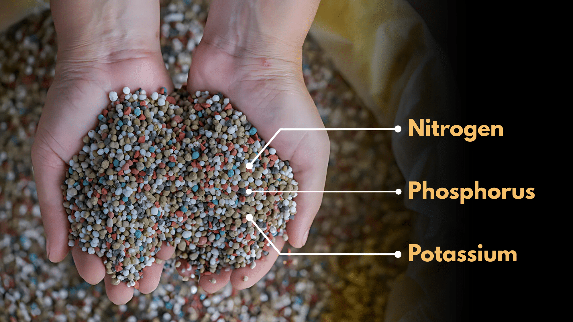 how-10-10-10-fertilizer-works