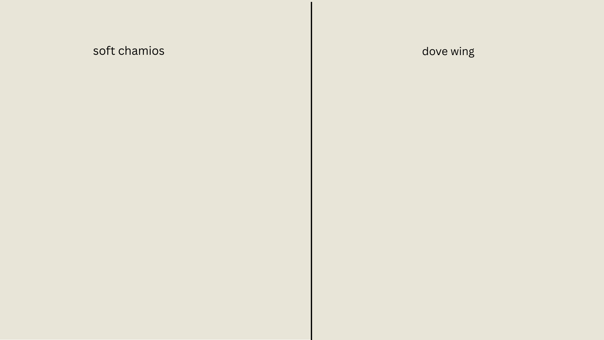soft-chamios-vs-dove-wing