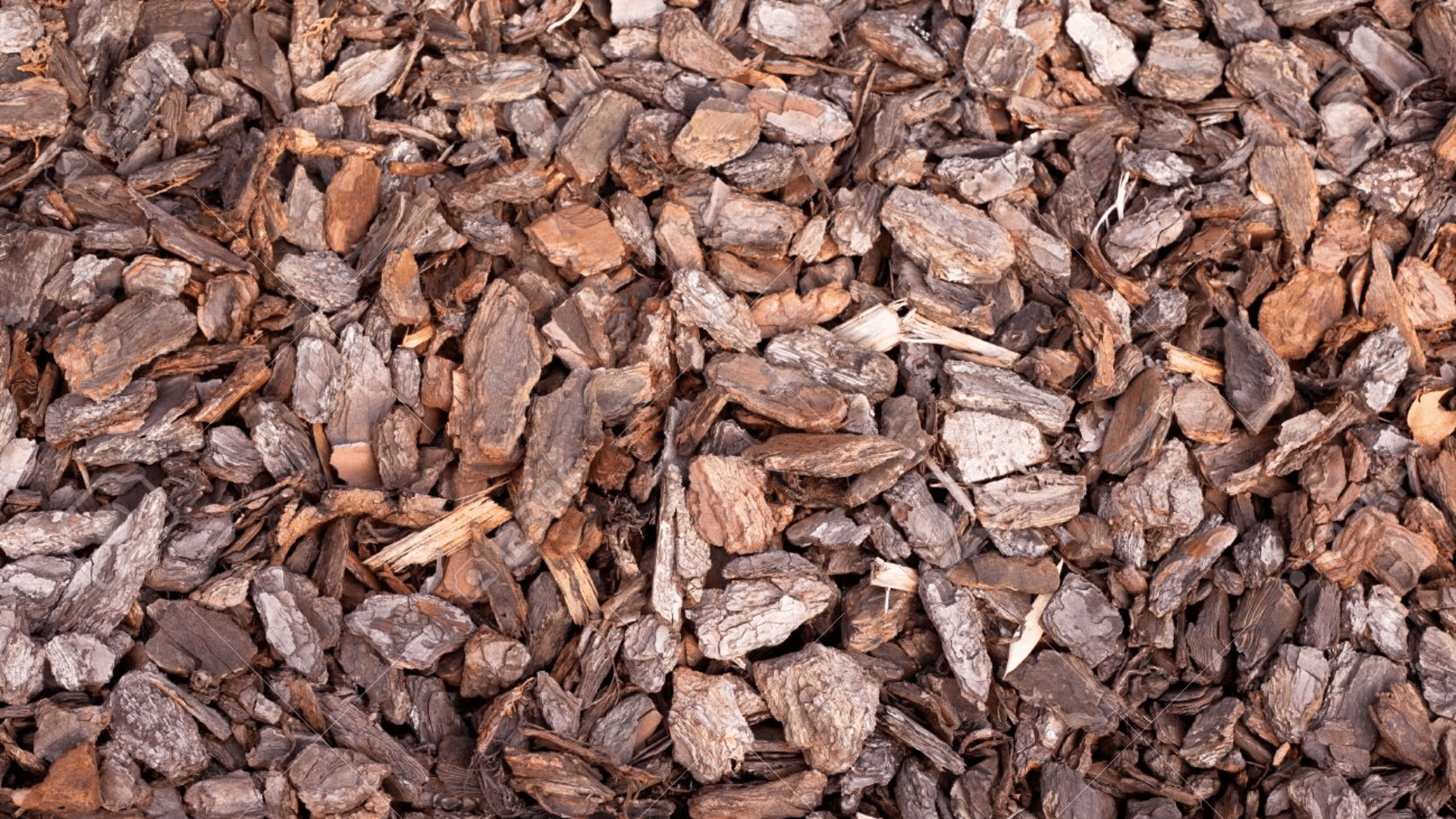 what-is-pine-mulch