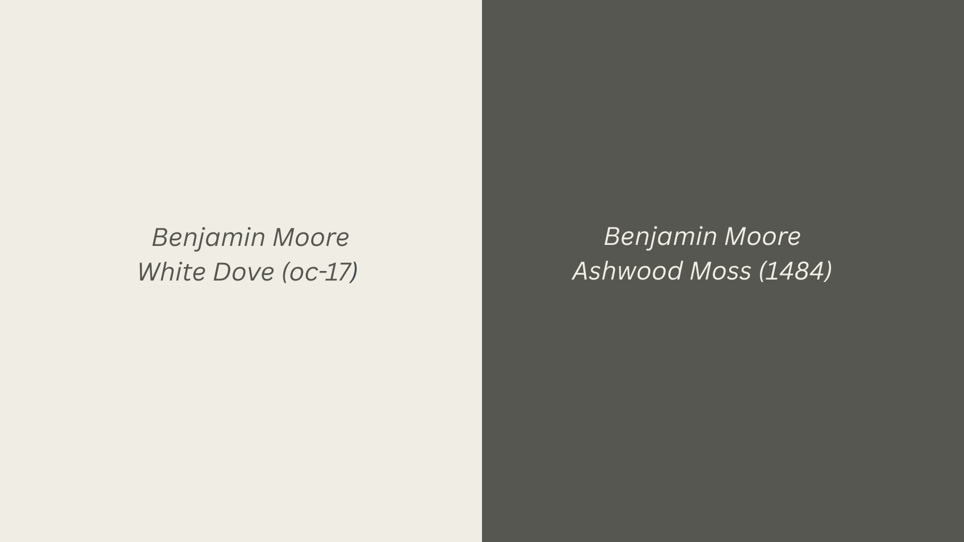 white-dove-ashwood-moss-1484