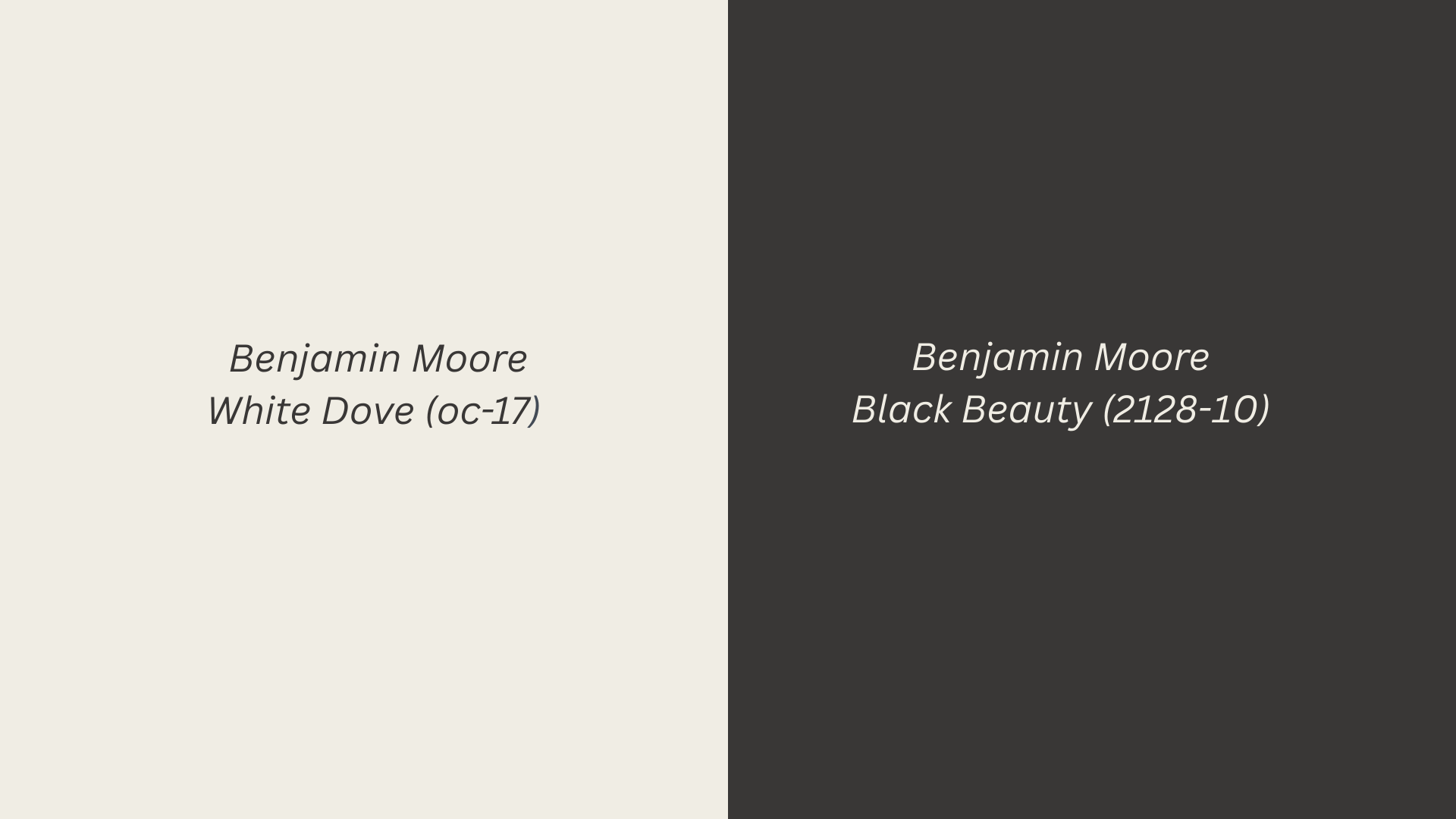 white-dove-black-beauty-2128-10
