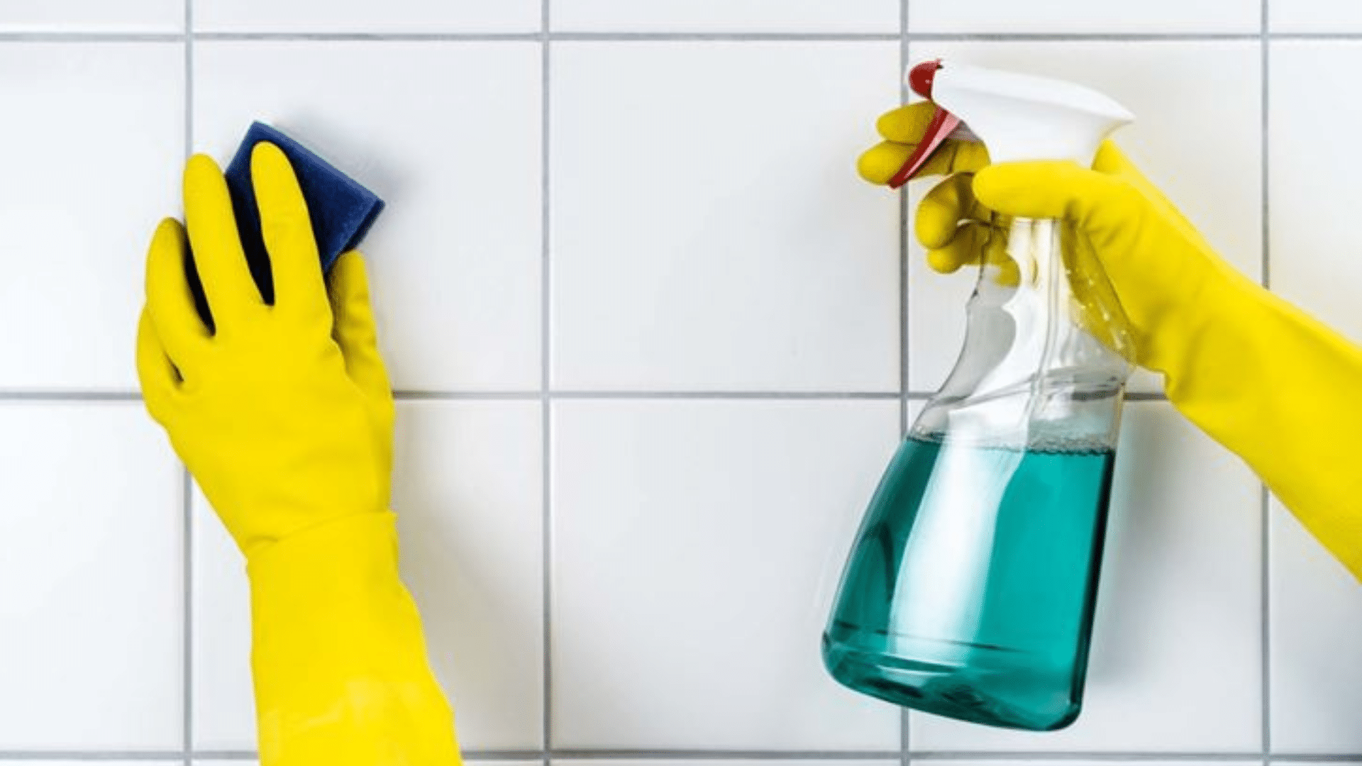 the-bleach-solution-heavy-duty