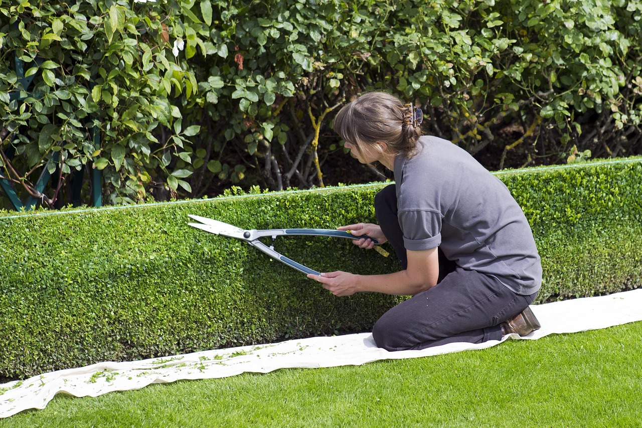 How to Find a Job as a Gardener