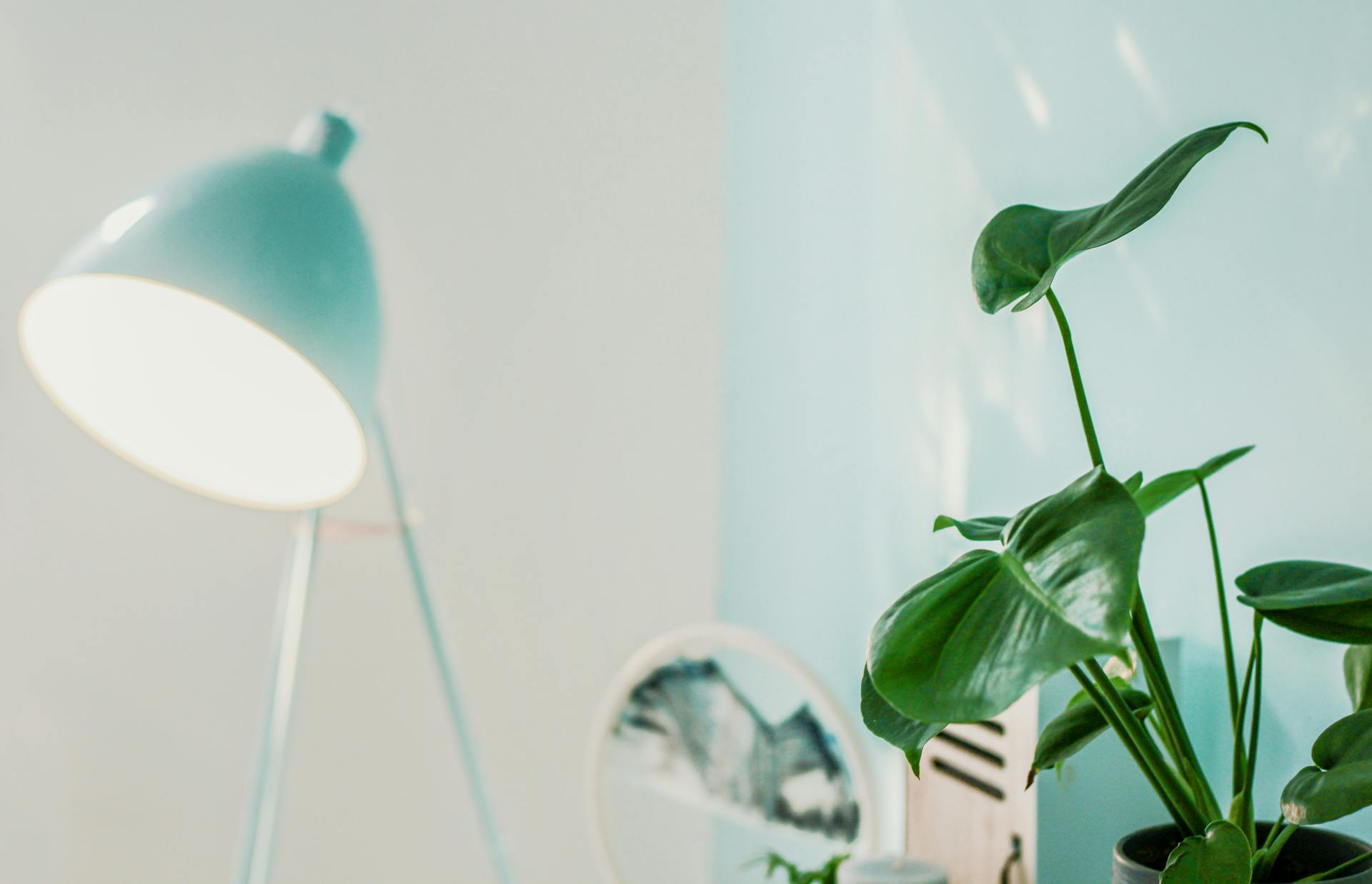 Home Design Tips for Aging in Place: Creating a Safe and Stylish Environment