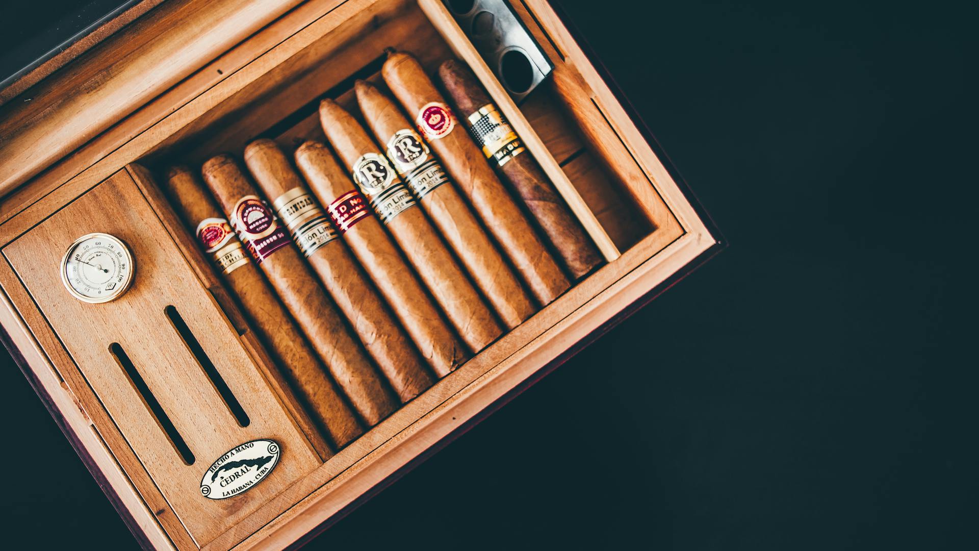 Inside the World of Cigar Furniture: When Storage Becomes a Statement