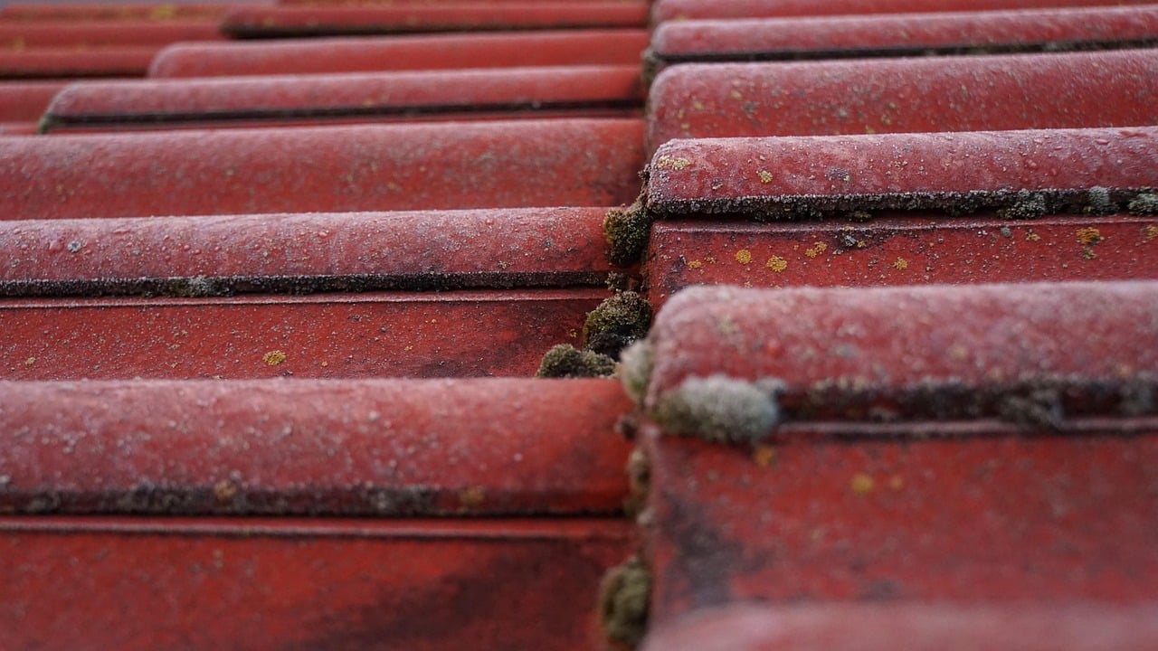 8 Key Things That Affect Your Roof