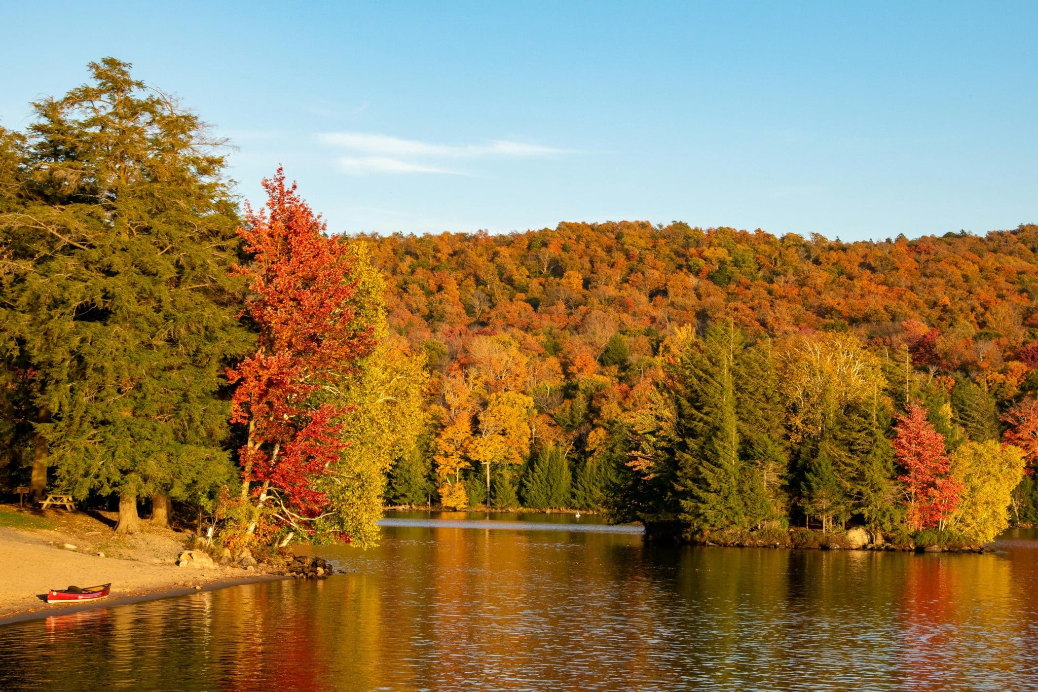 Spring Home Refresh in the Finger Lakes