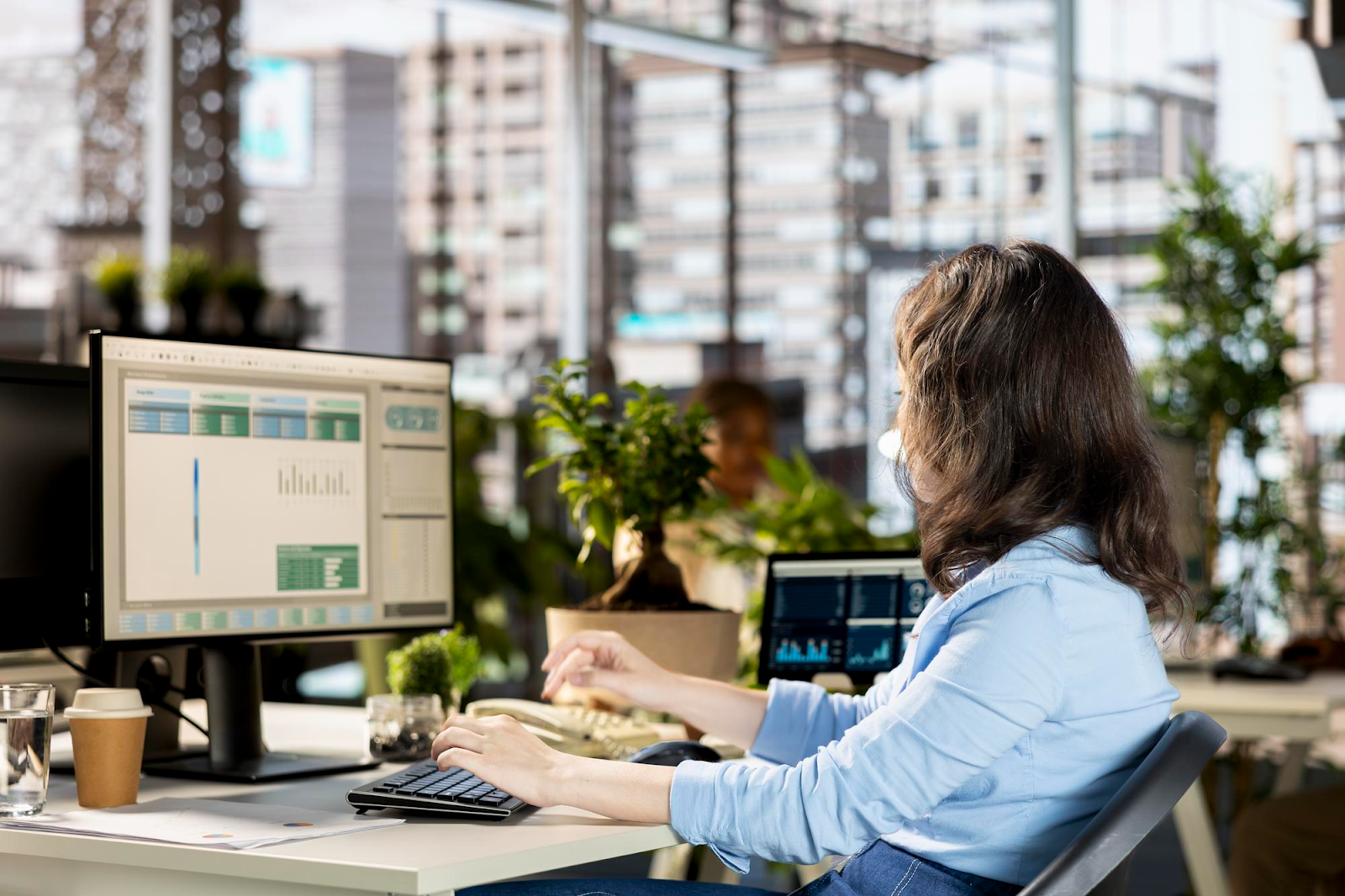 Tools and Software Garden Designers Use