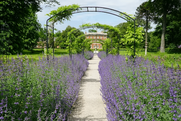 A Thriving Garden Takes More Than Good Soil: The Overlooked Jobs That Keep Your Outdoor Space Healthy