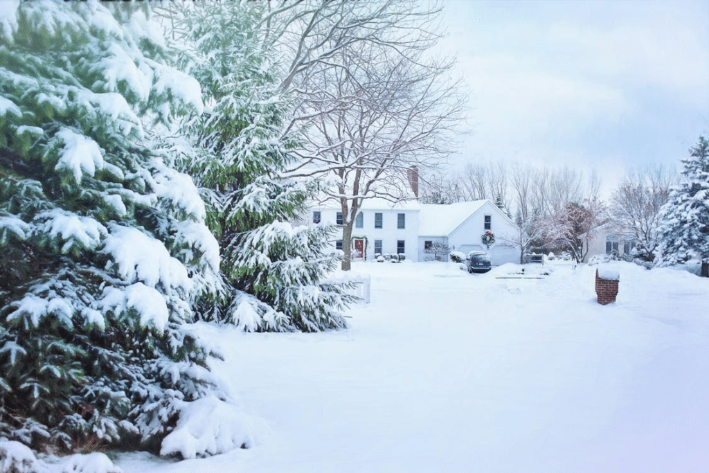 Seasonal Pest Prevention Tips for Your Washington Home
