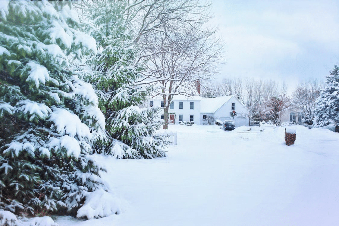 Seasonal Pest Prevention Tips for Your Washington Home