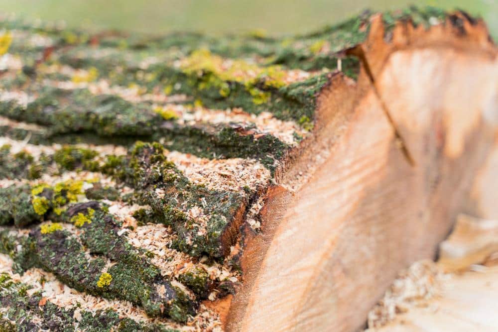 How to Preserve Wood Naturally: Non-Toxic Methods That Actually Work