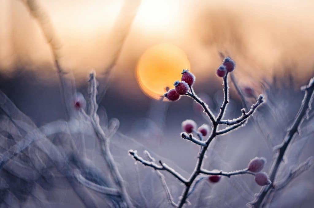 How to Prepare Your Home for All-Season Temperature Changes