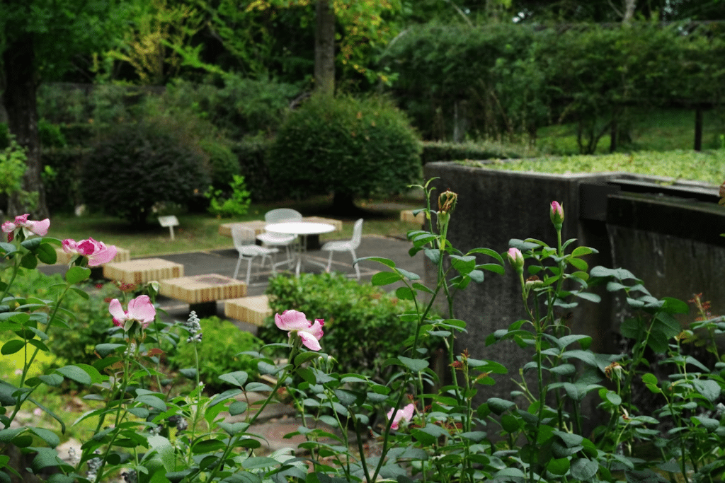 The How-To Guide for a Luscious Yard