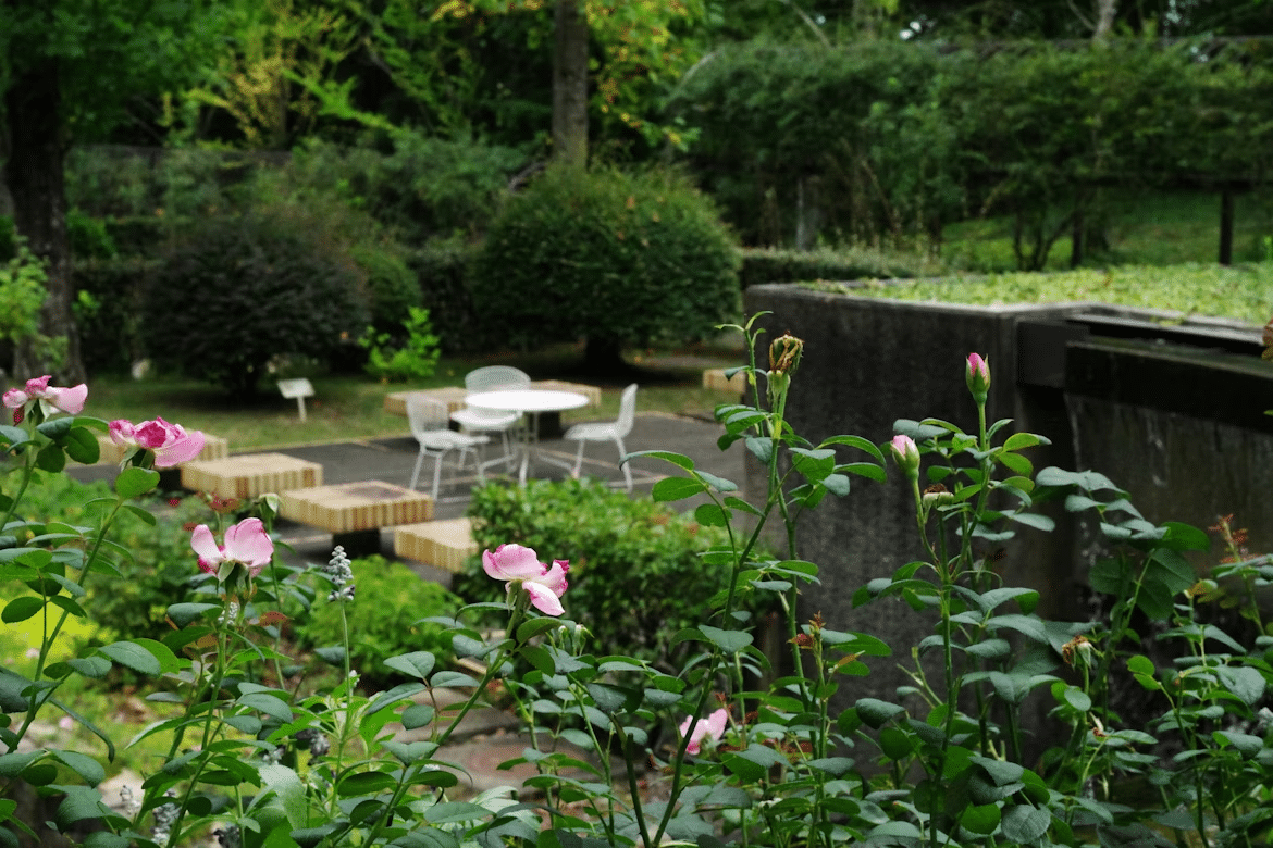 The How-To Guide for a Luscious Yard