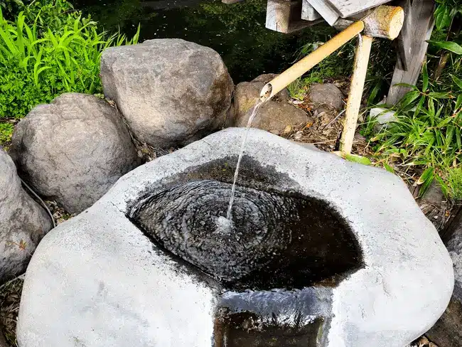 Bamboo water spout with gentle stream into rock basin in tranquil garden setting