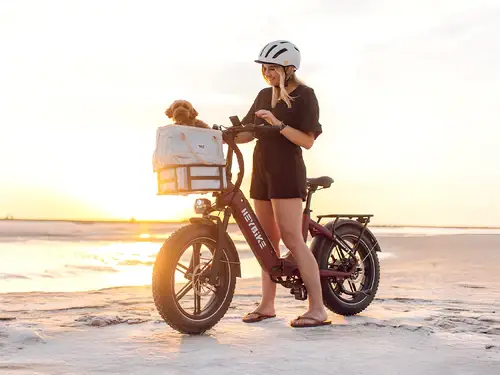 Woman in helmet standing with e-bike and dog on sunny beach at sunset